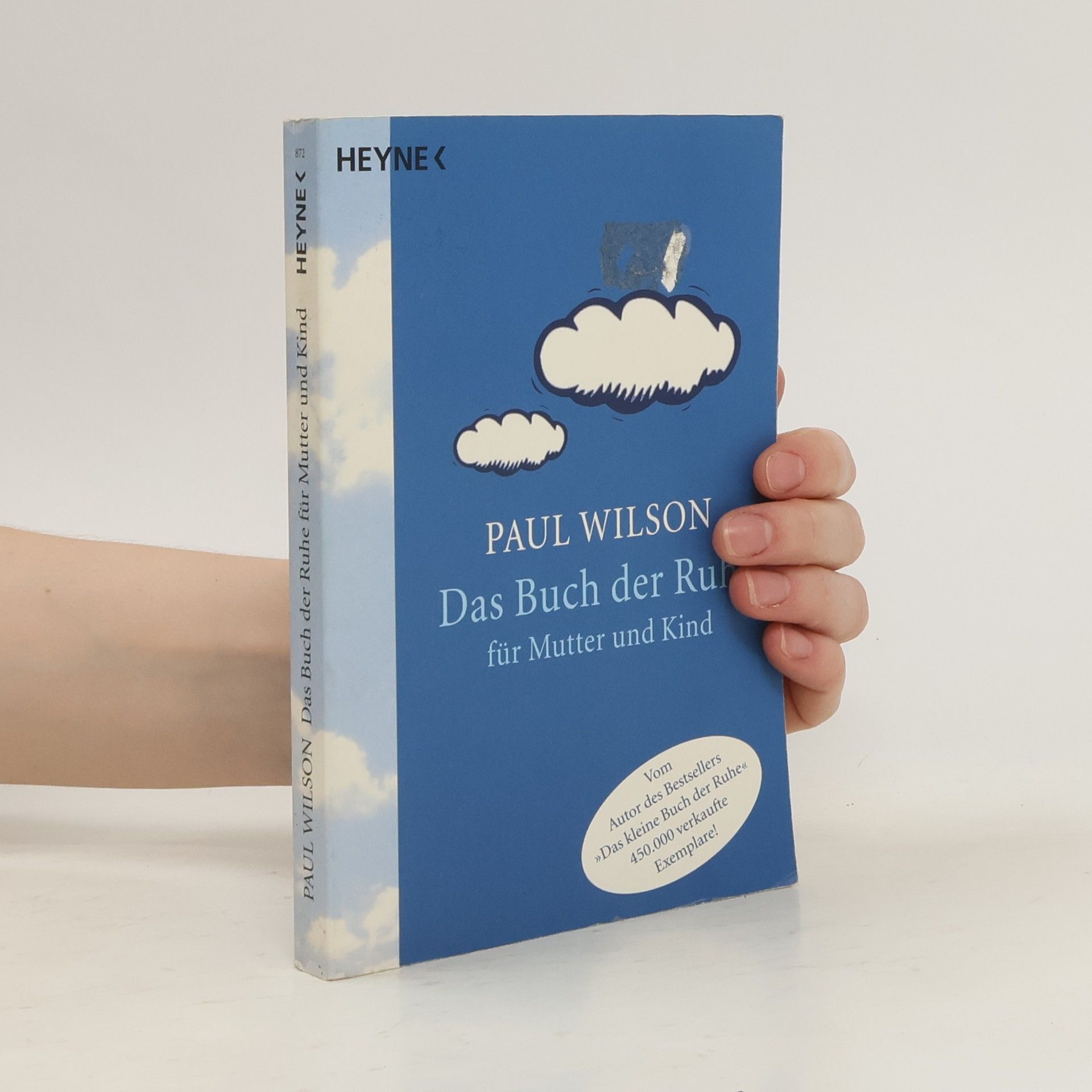 Paul Wilson Das Buch der Ruhe für Mutter und Kind