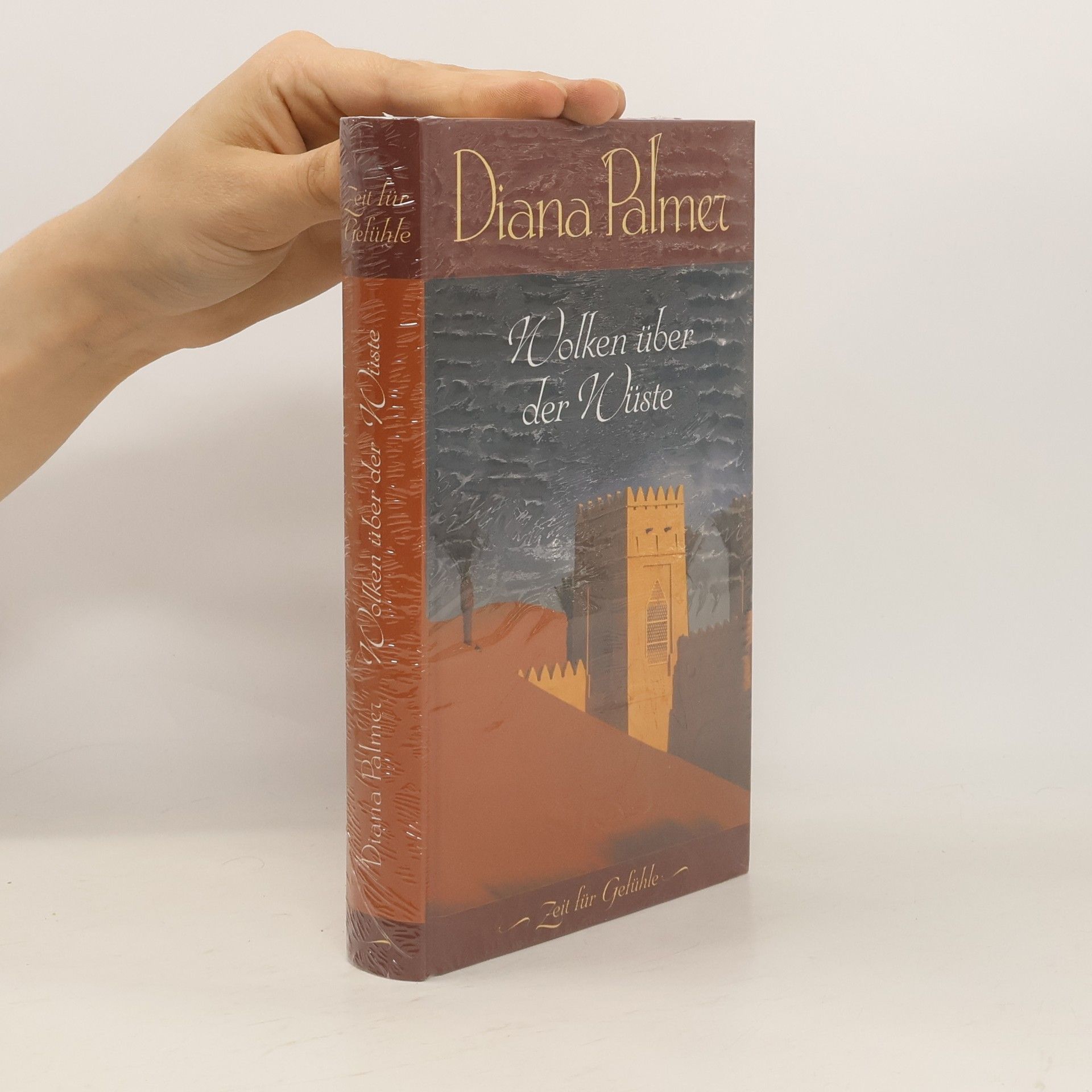 Diana Palmer Wolken über der Wüste