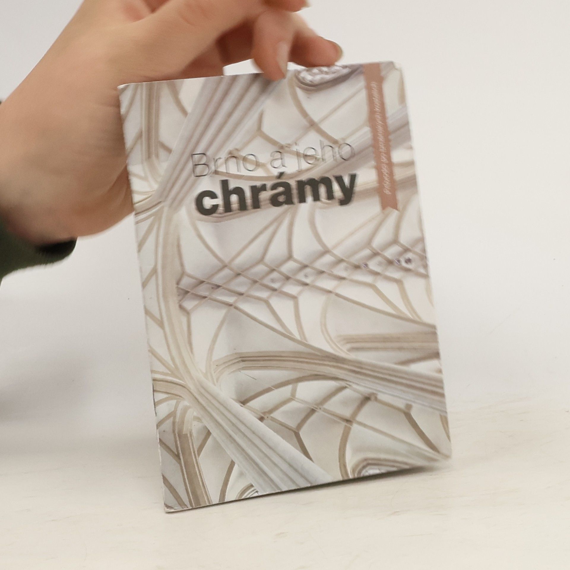 Collectif d'auteurs Brno a jeho chrámy