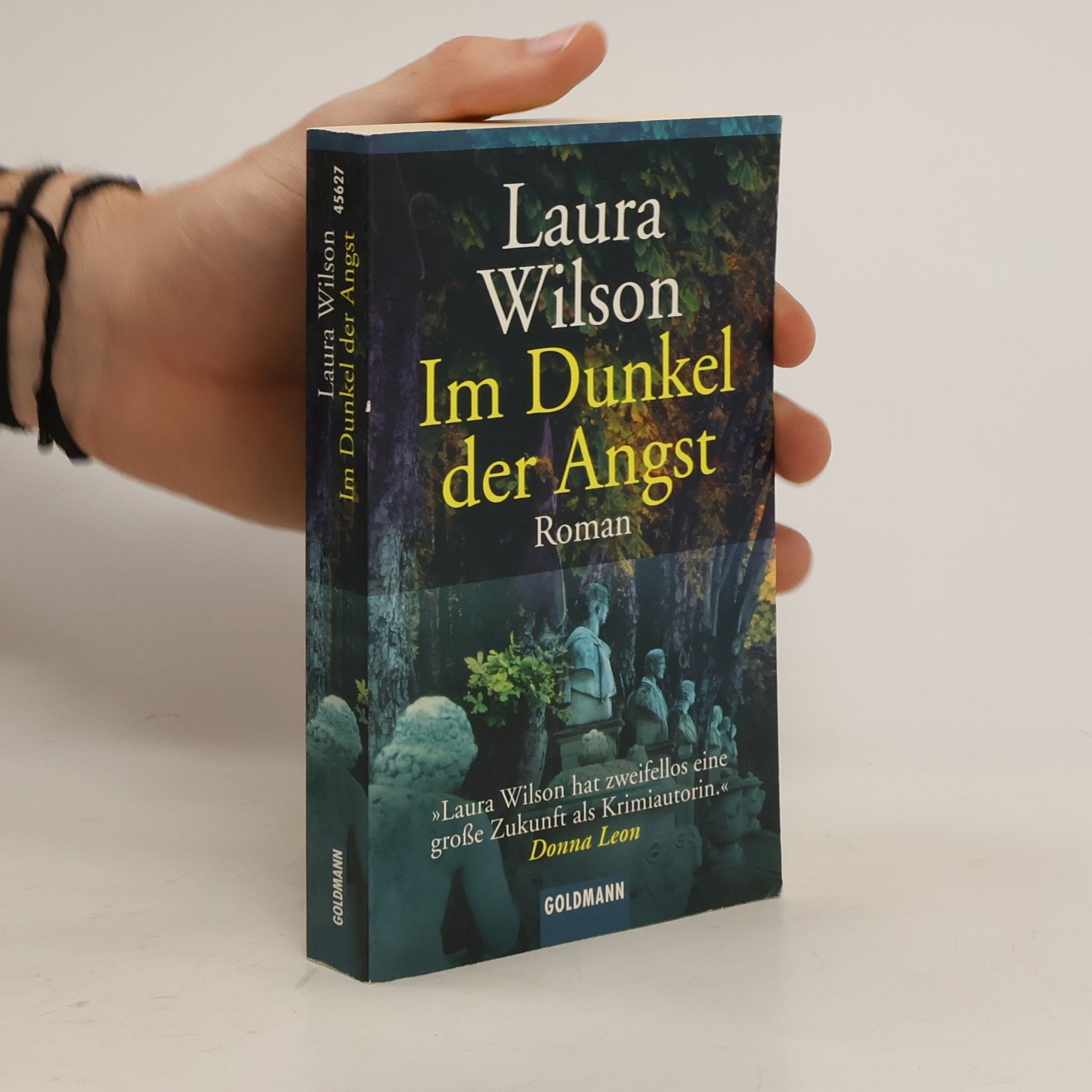 Laura Wilson Im Dunkel der Angst