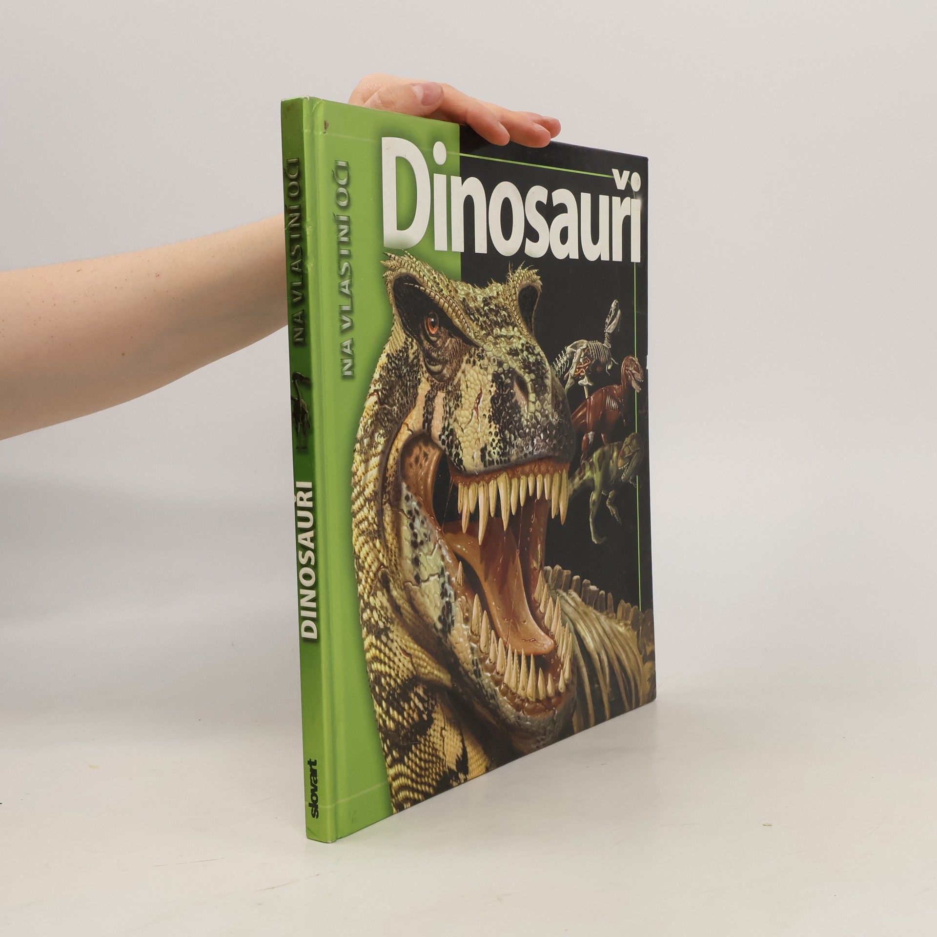 Romana Anděrová Dinosauři
