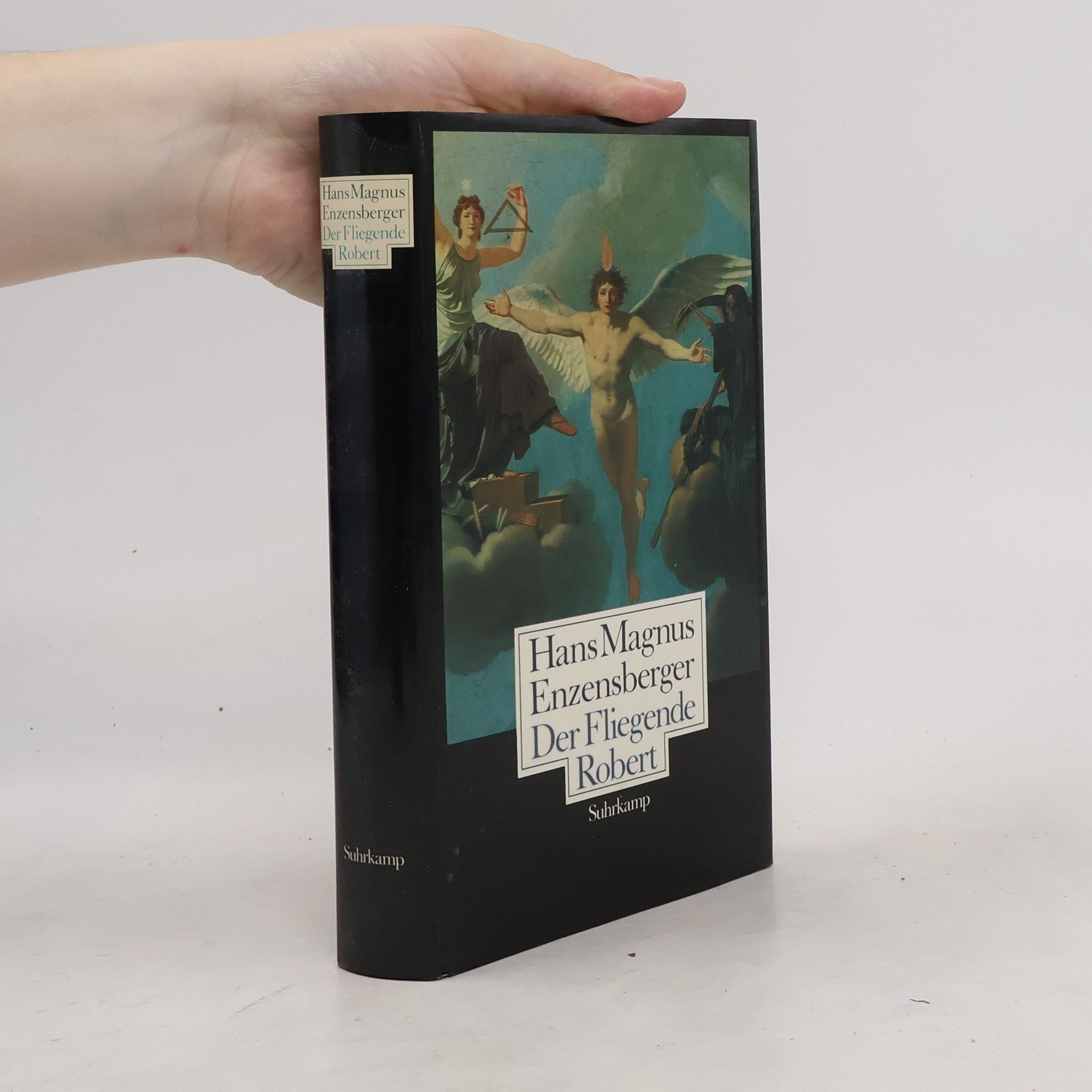 Hans Magnus Enzensberger Der Fliegende Robert