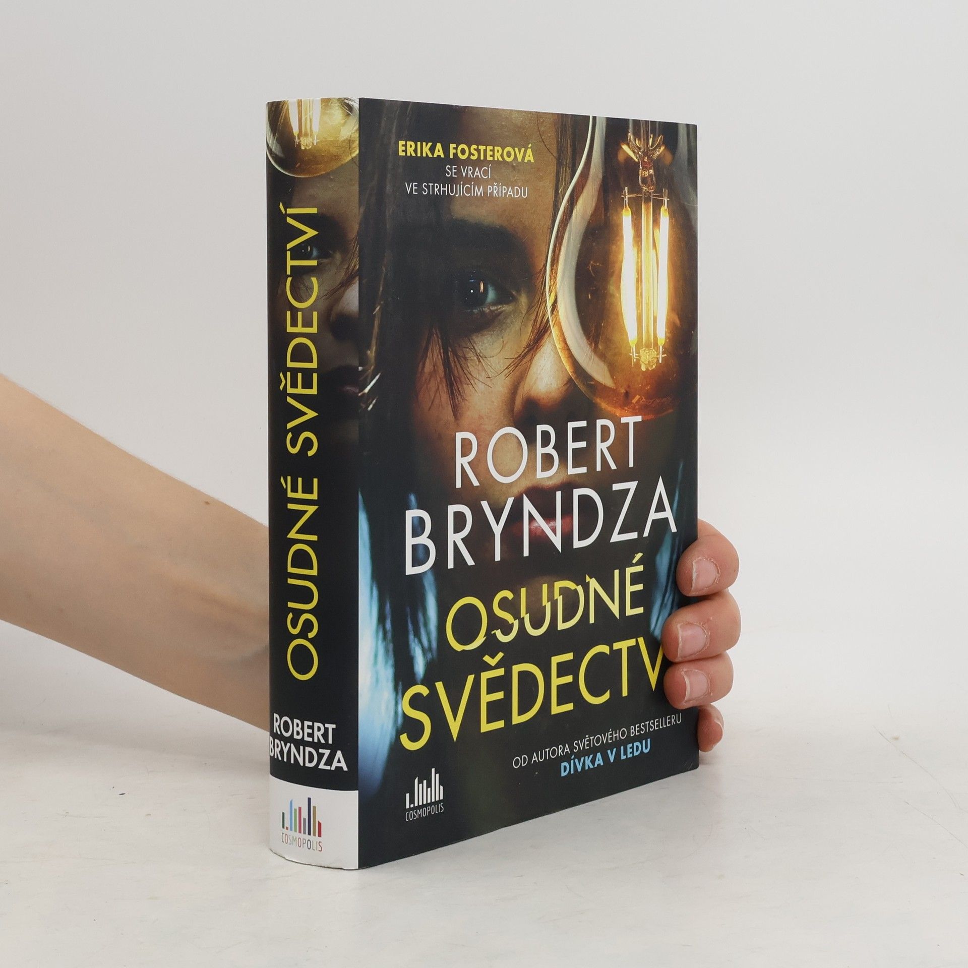 Robert Bryndza Osudné svědectví