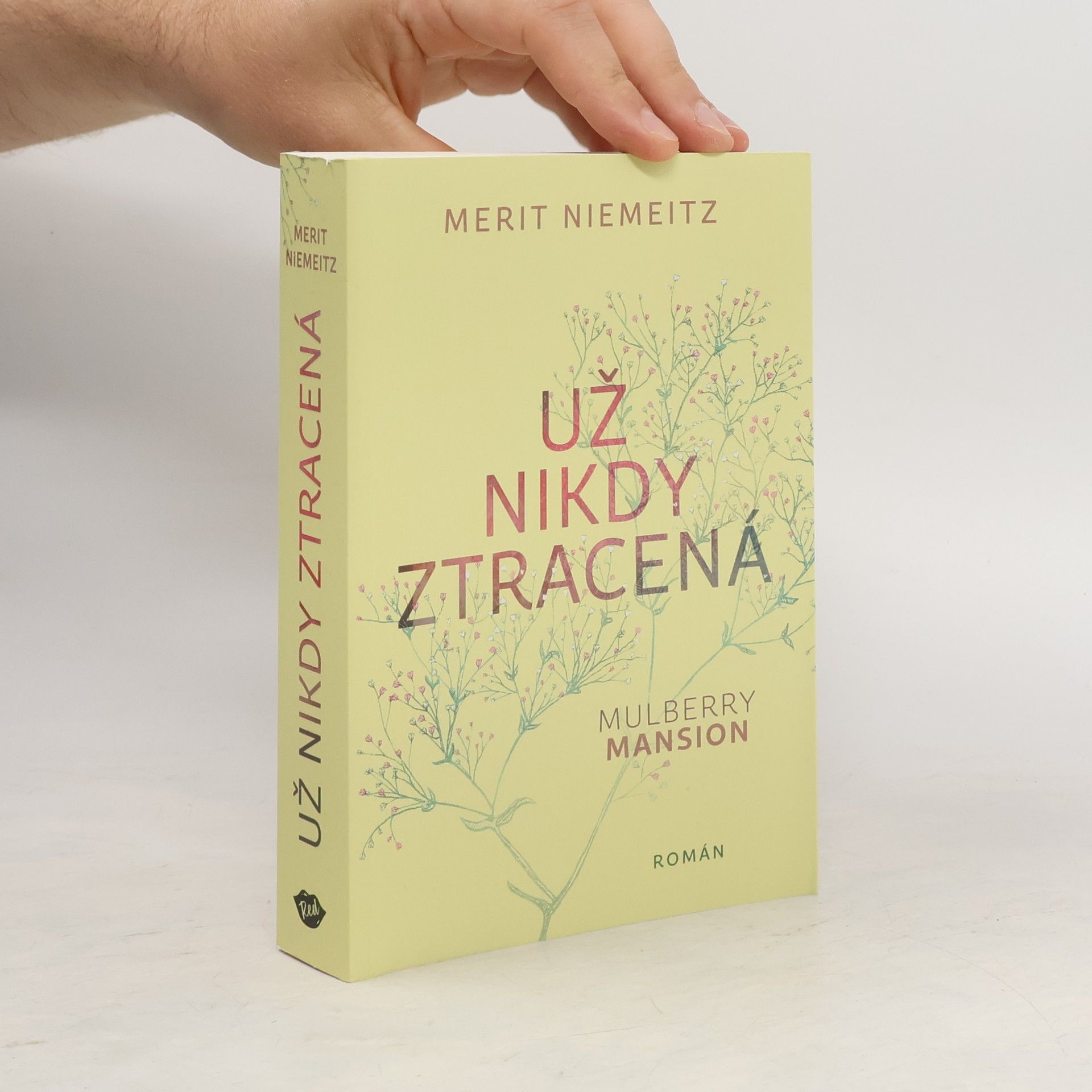 Merit Niemeitz Už nikdy ztracená