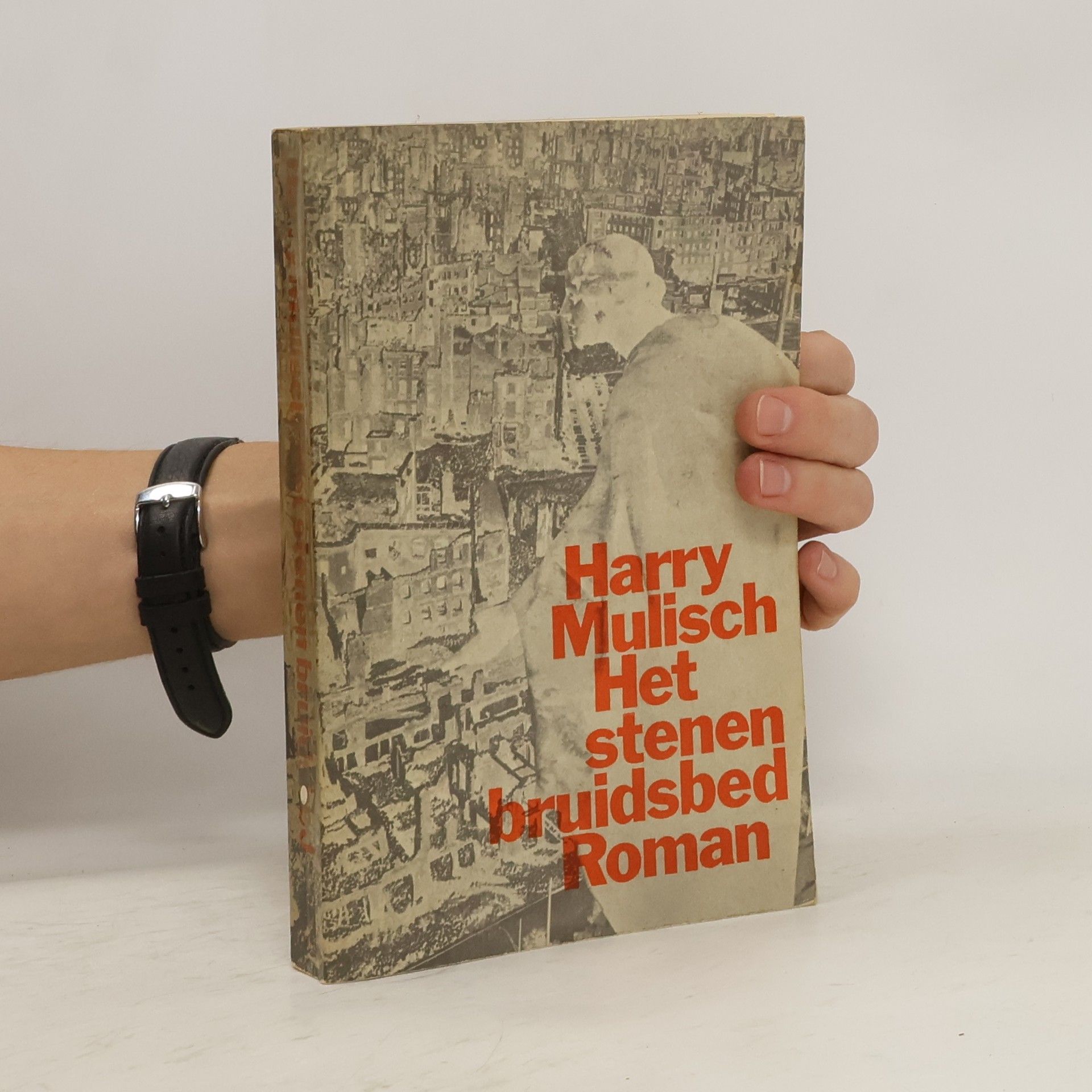 Harry Mulisch Het stenen bruidsbed