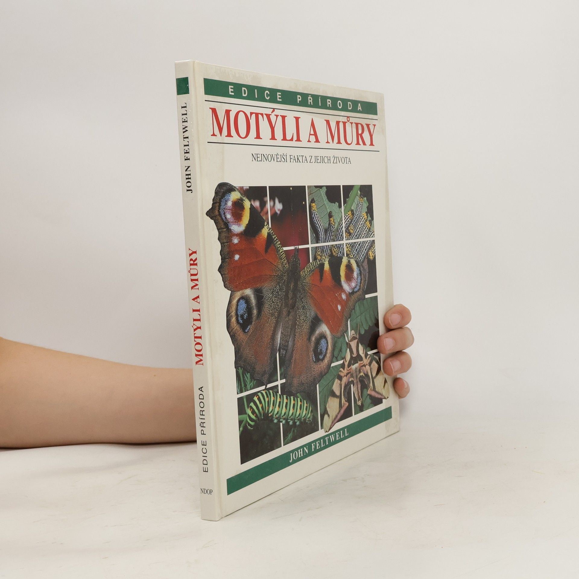 John Feltwell Motýli a můry