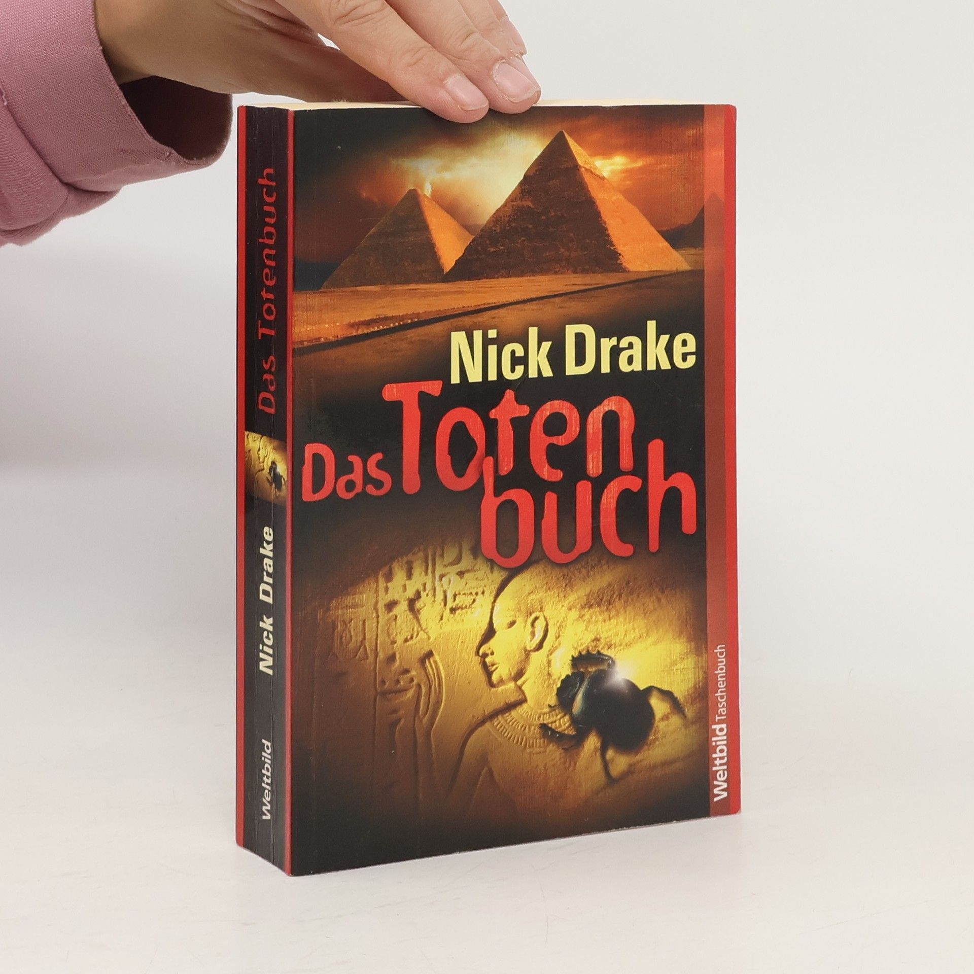 Nick Drake Das Totenbuch