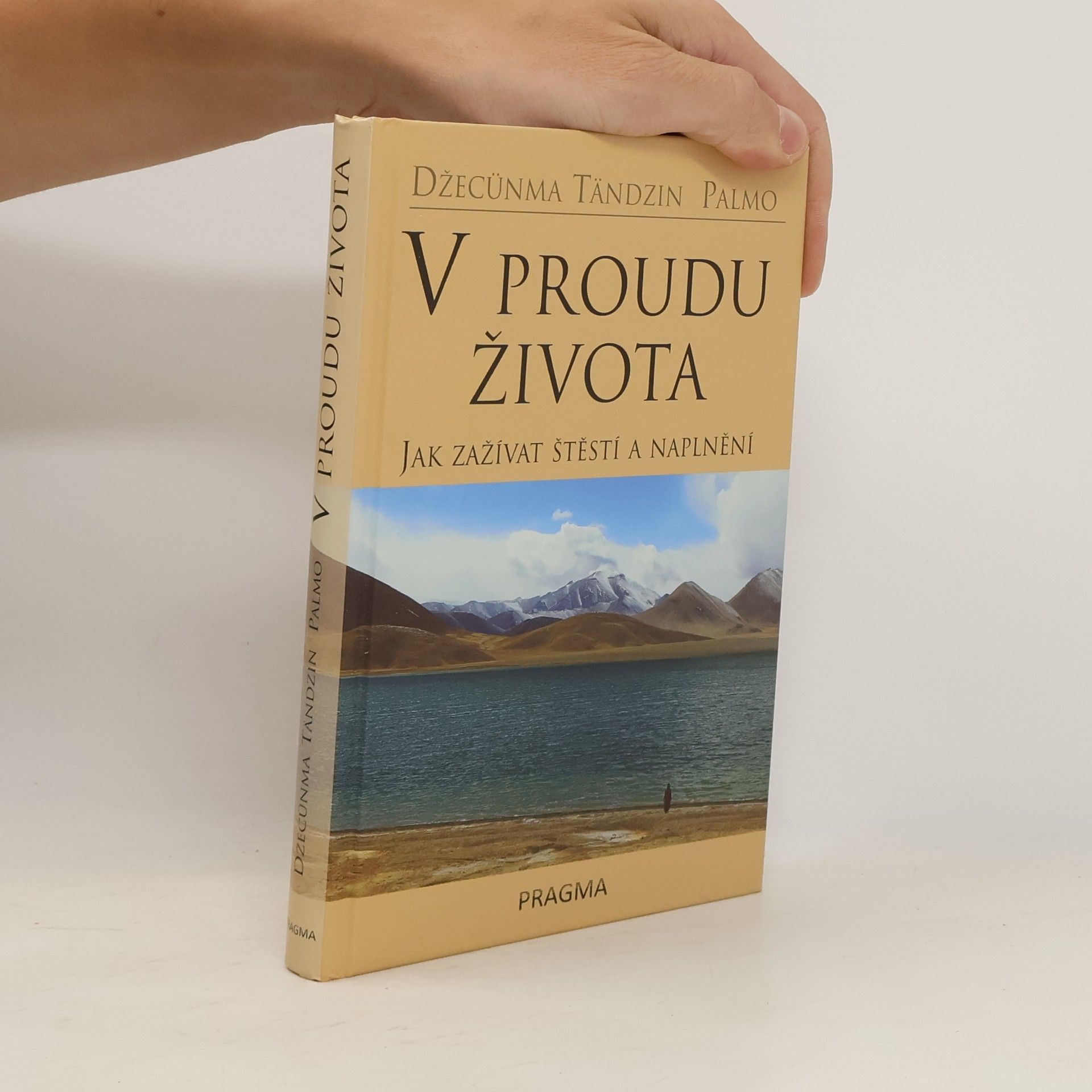 Palmo Tenzin V proudu života. Jak zažívat štěstí a naplnění