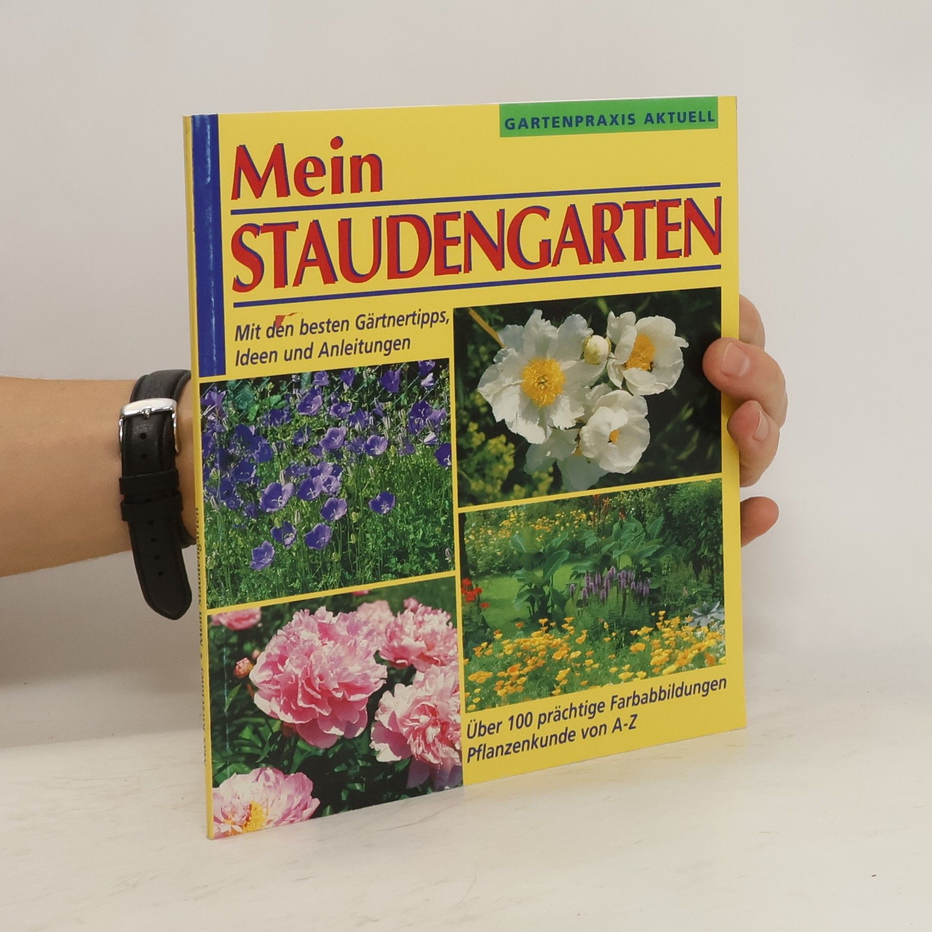 Autorenkollektiv Mein Staudengarten