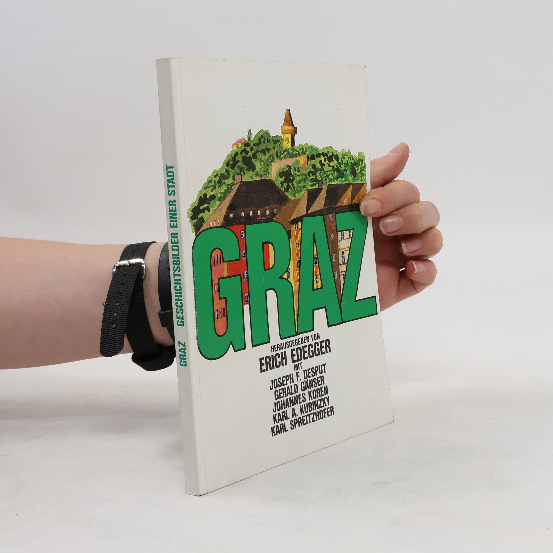 Erich Edegger Graz. Geschichtsbilder einer Stadt