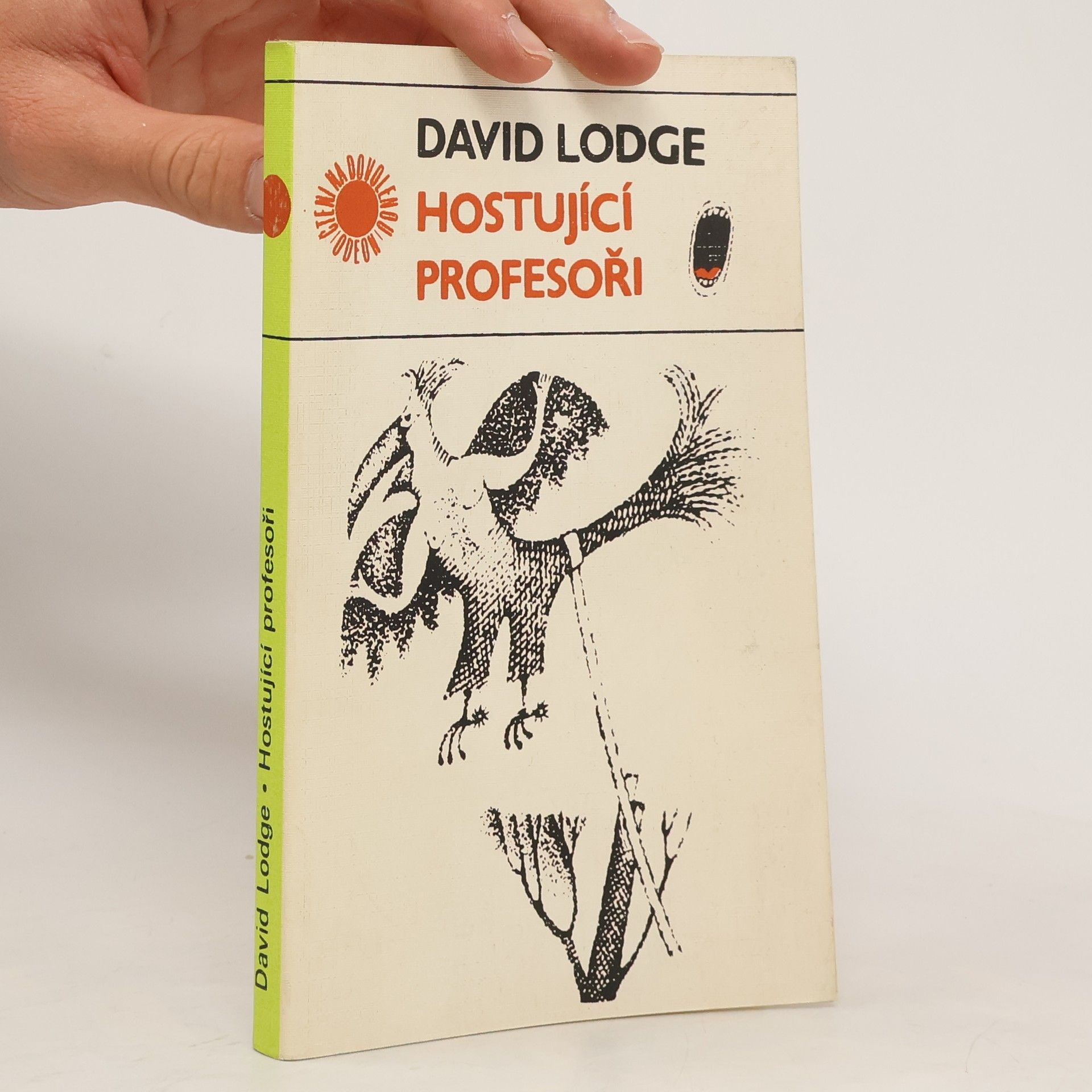 David Lodge Hostující profesoři