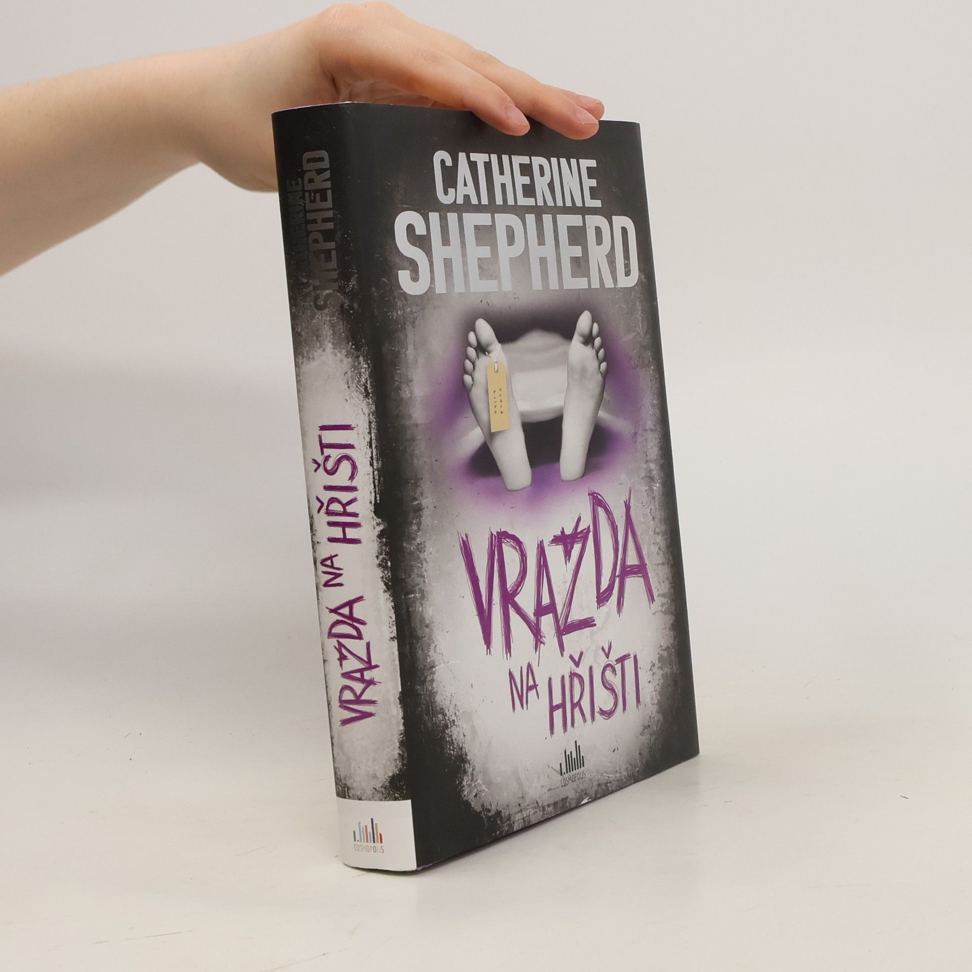 Catherine Shepherd Vražda na hřišti