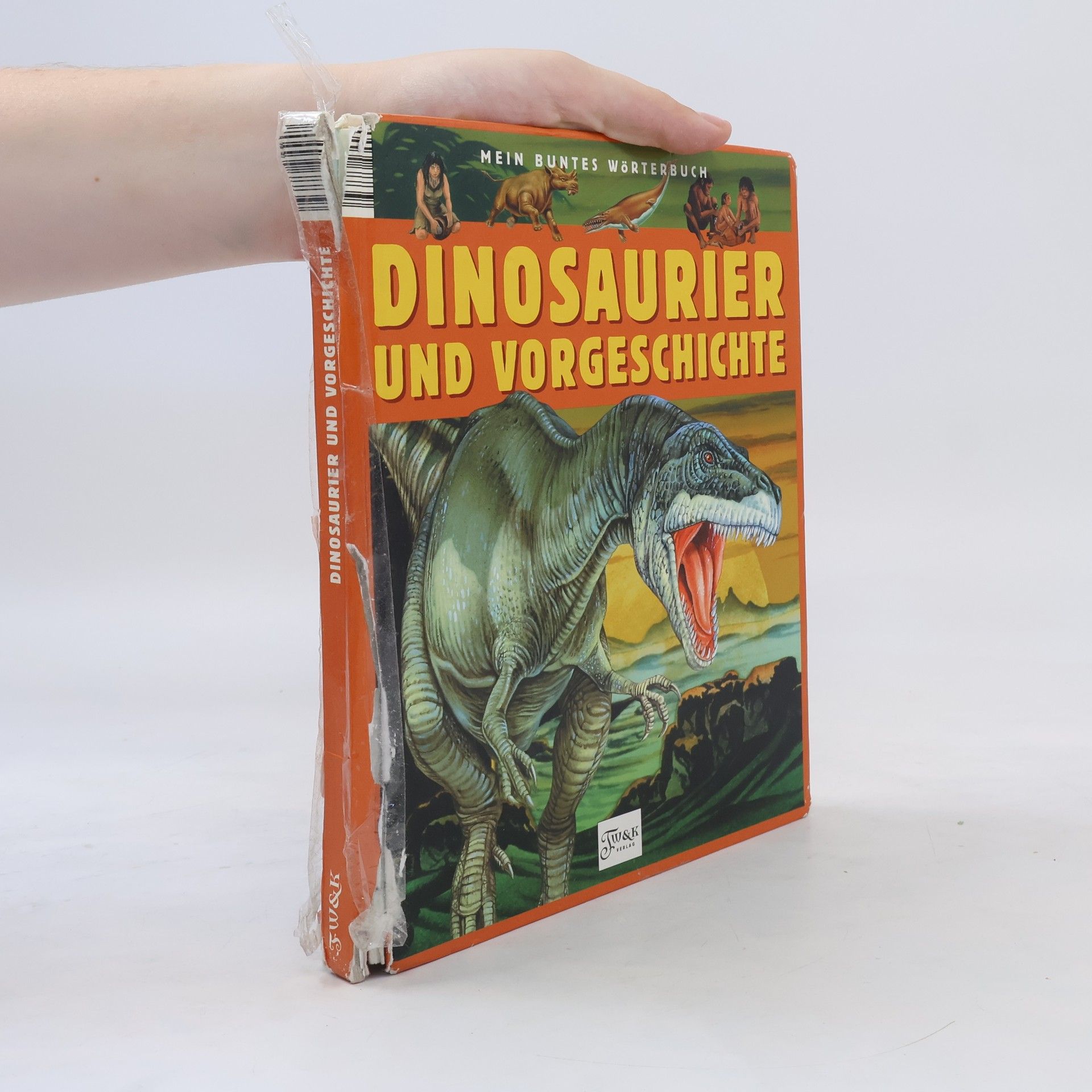Emilie Beaumont Dinosaurier und Vorgeschichte