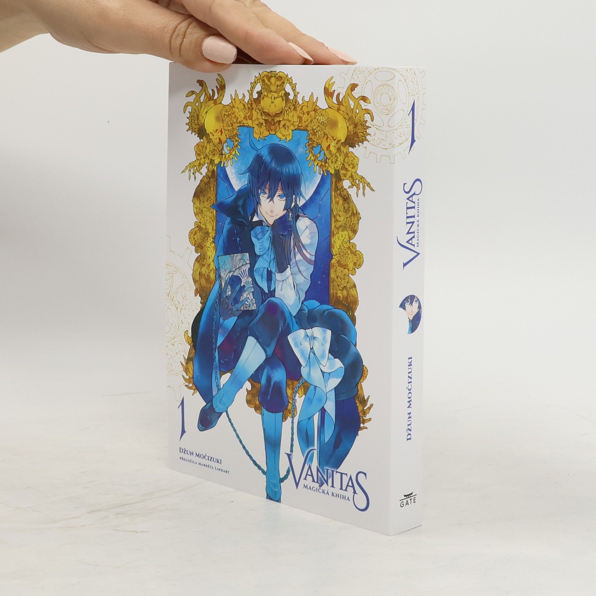 Jun Mochizuki Vanitas 1