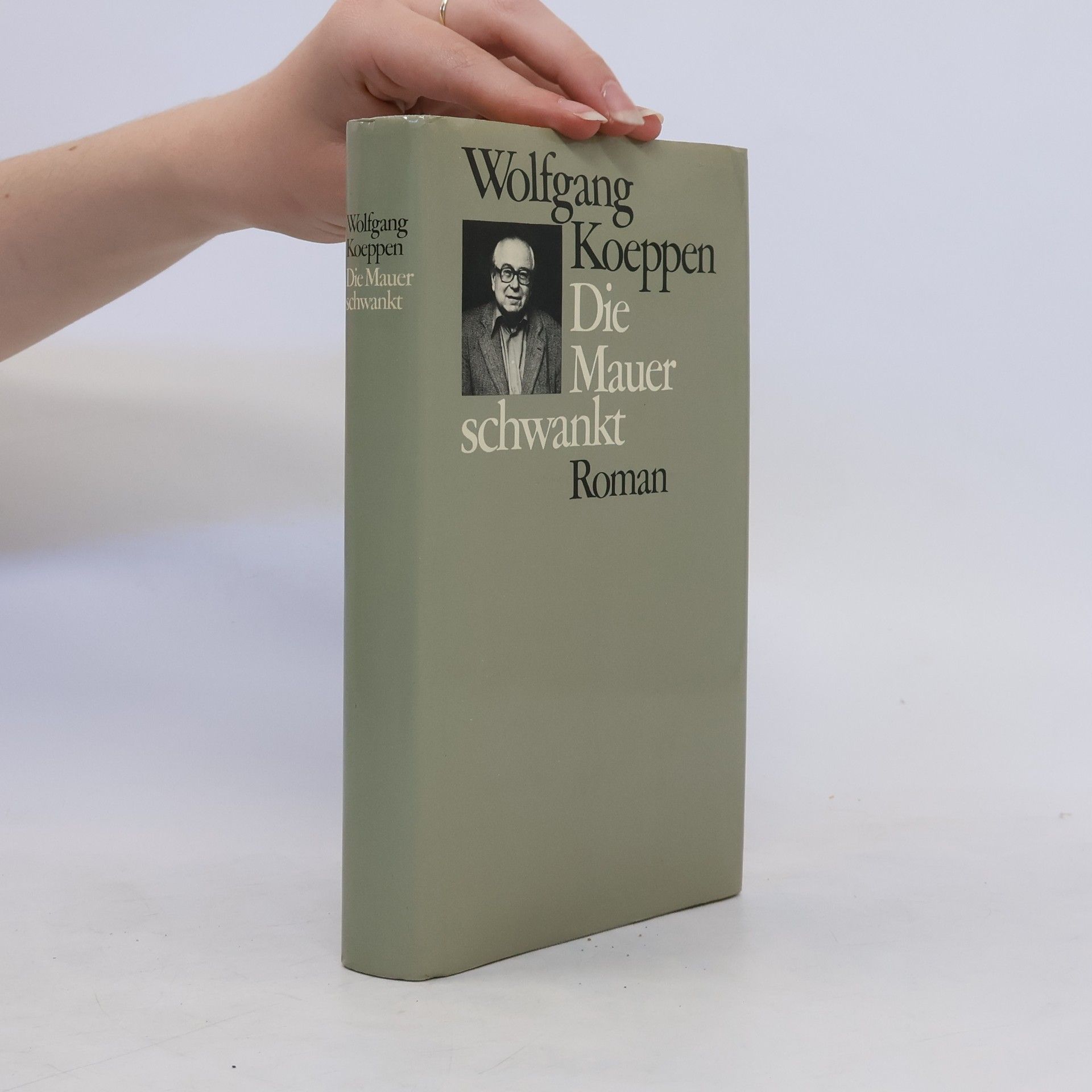 Wolfgang Koeppen Die Mauer schwankt