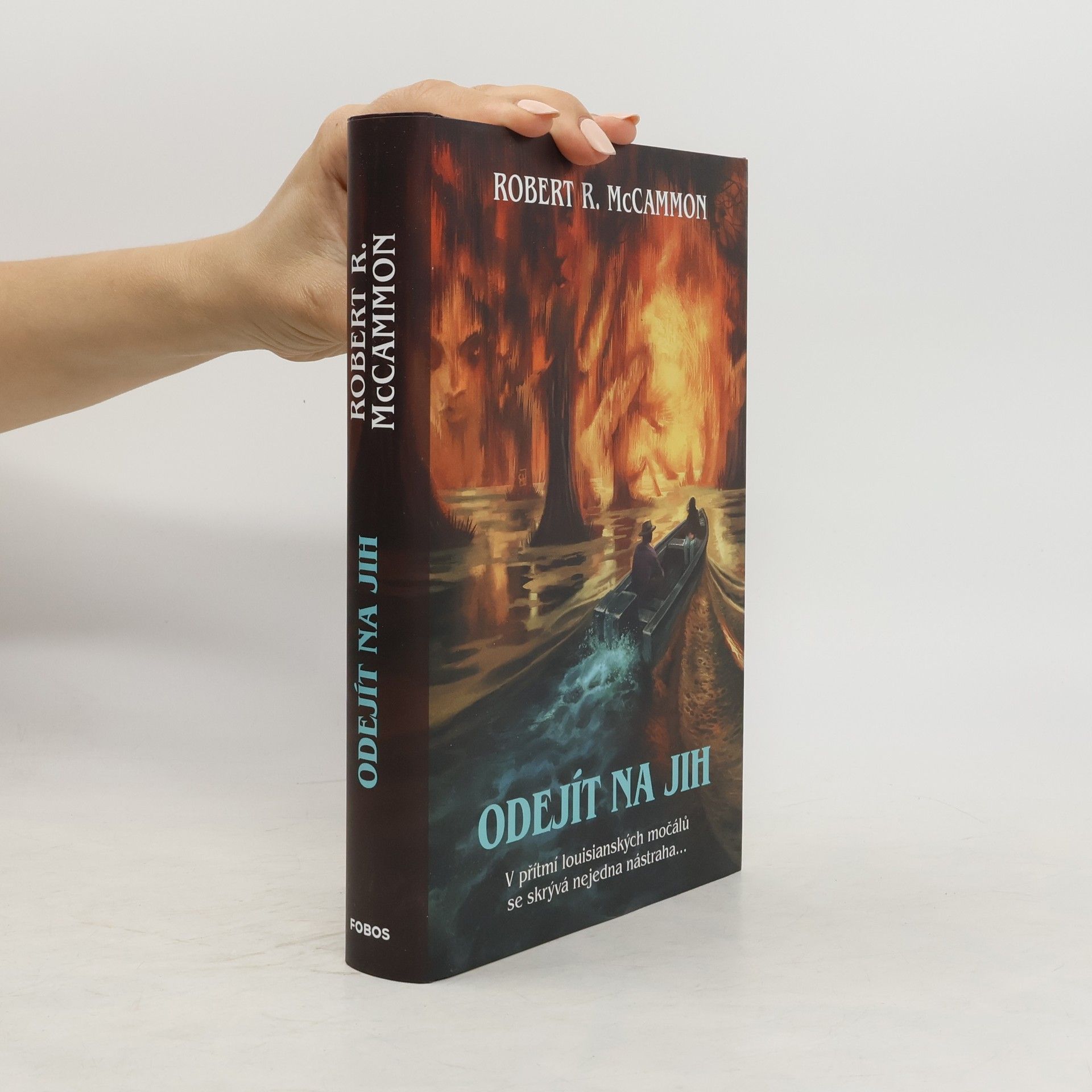Robert R. McCammon Odejít na jih