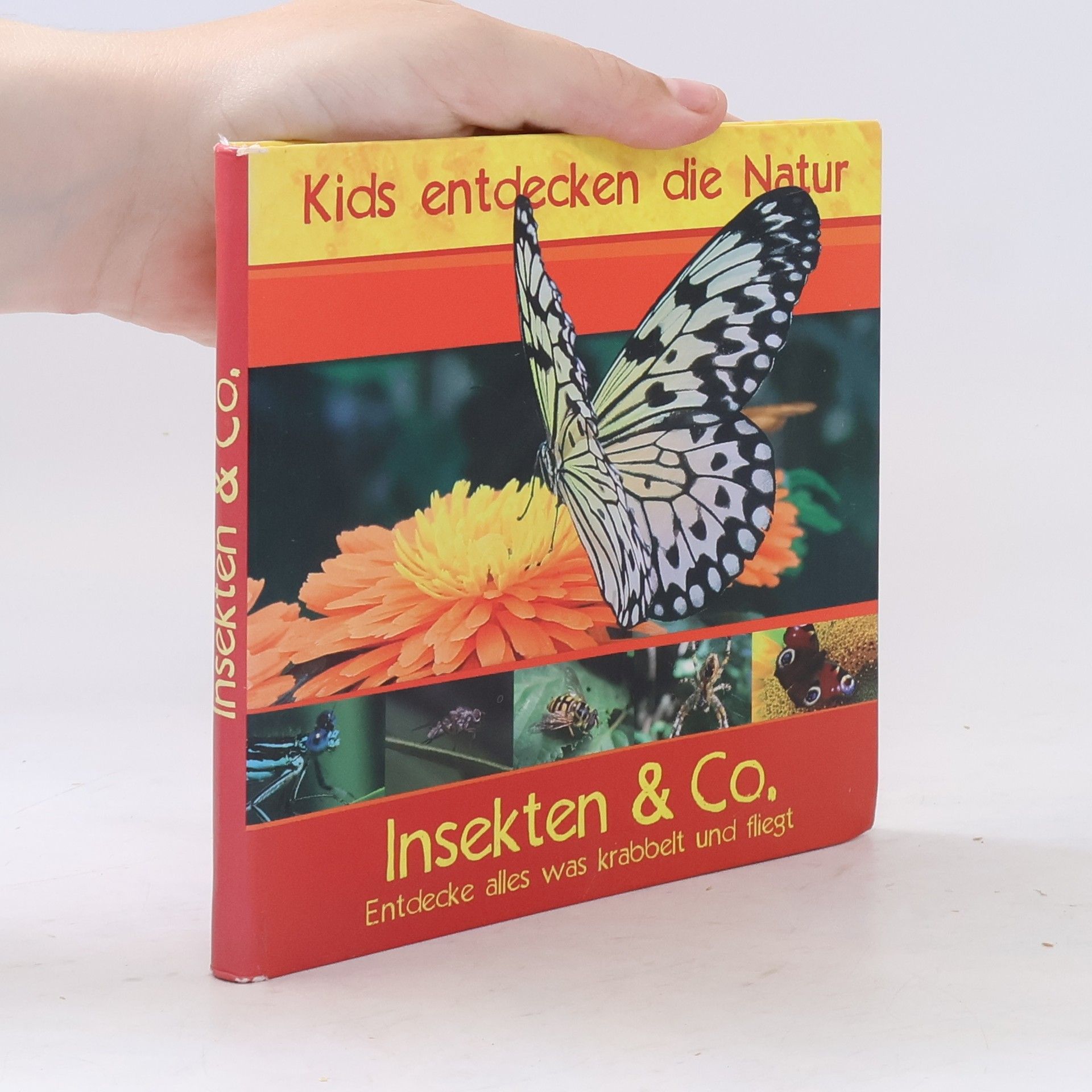 Autorenkollektiv Insekten & Co