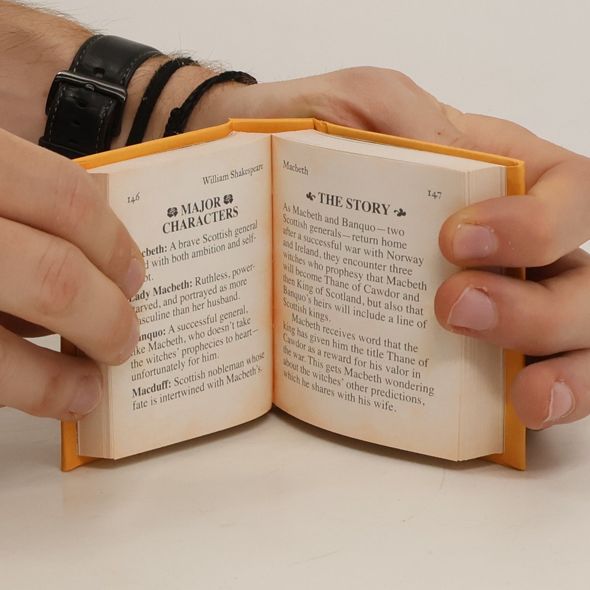 Autorenkollektiv Literary Lover's Box Set