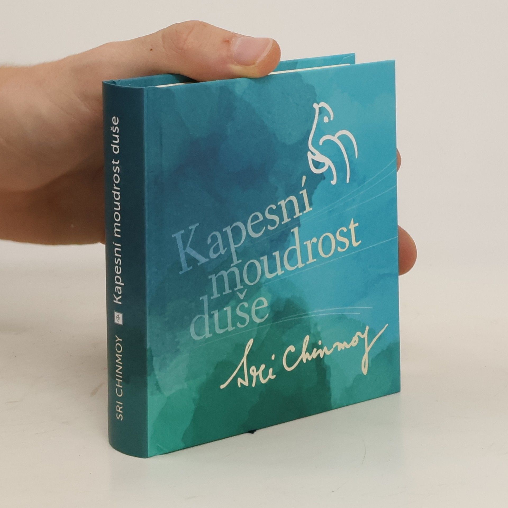 Sri Chinmoy Kapesní moudrost duše