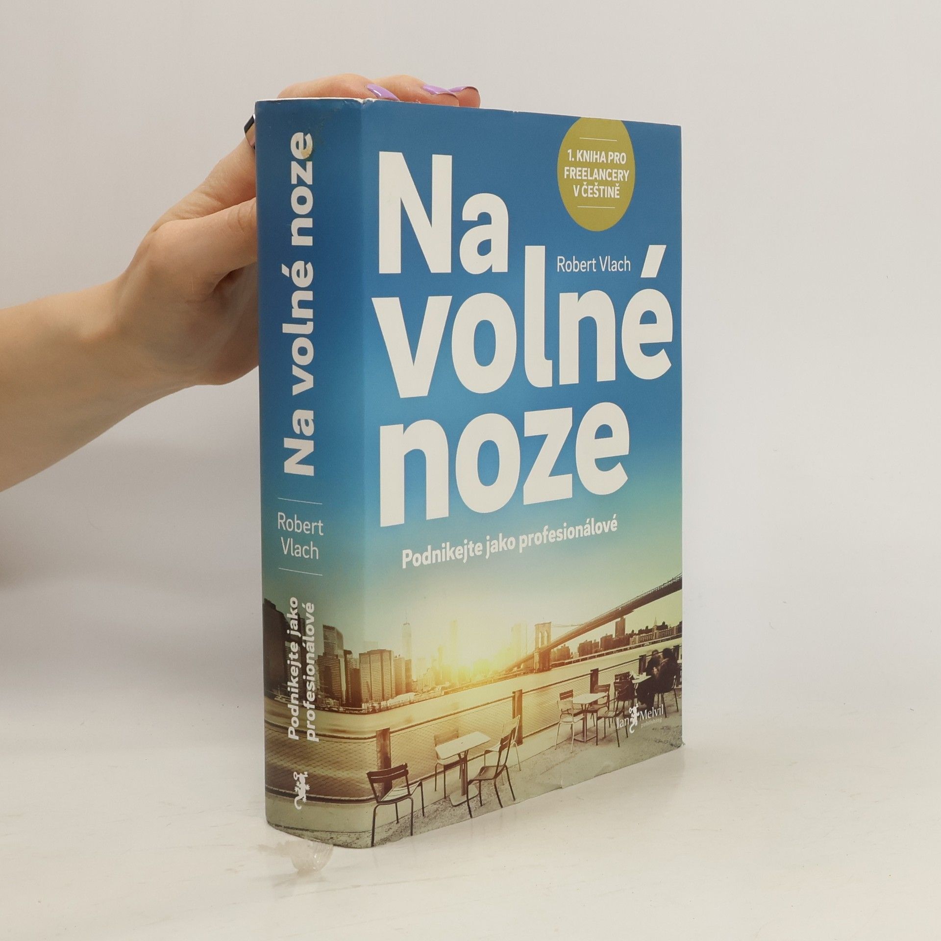 Robert Vlach Na volné noze