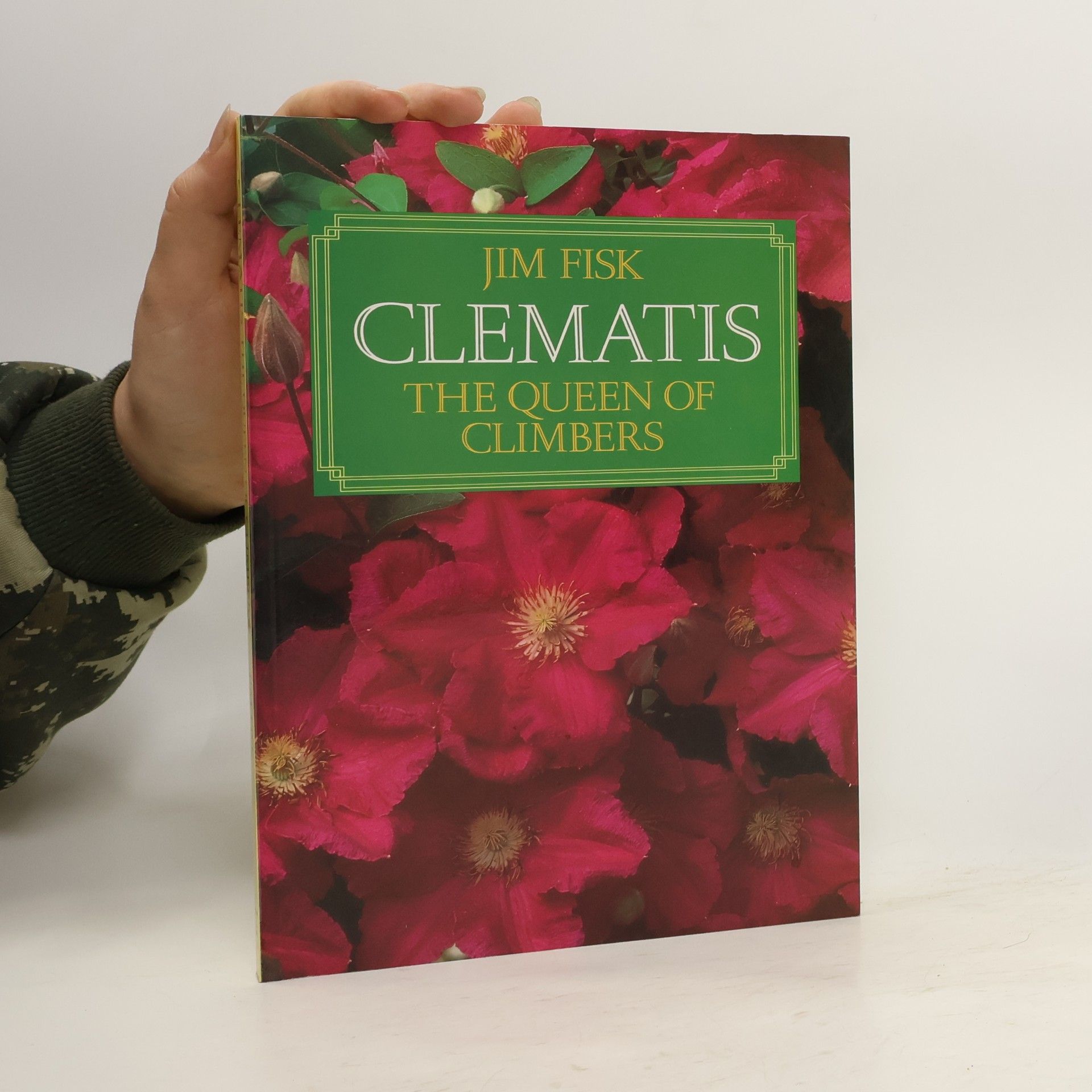Jim Fisk Clematis