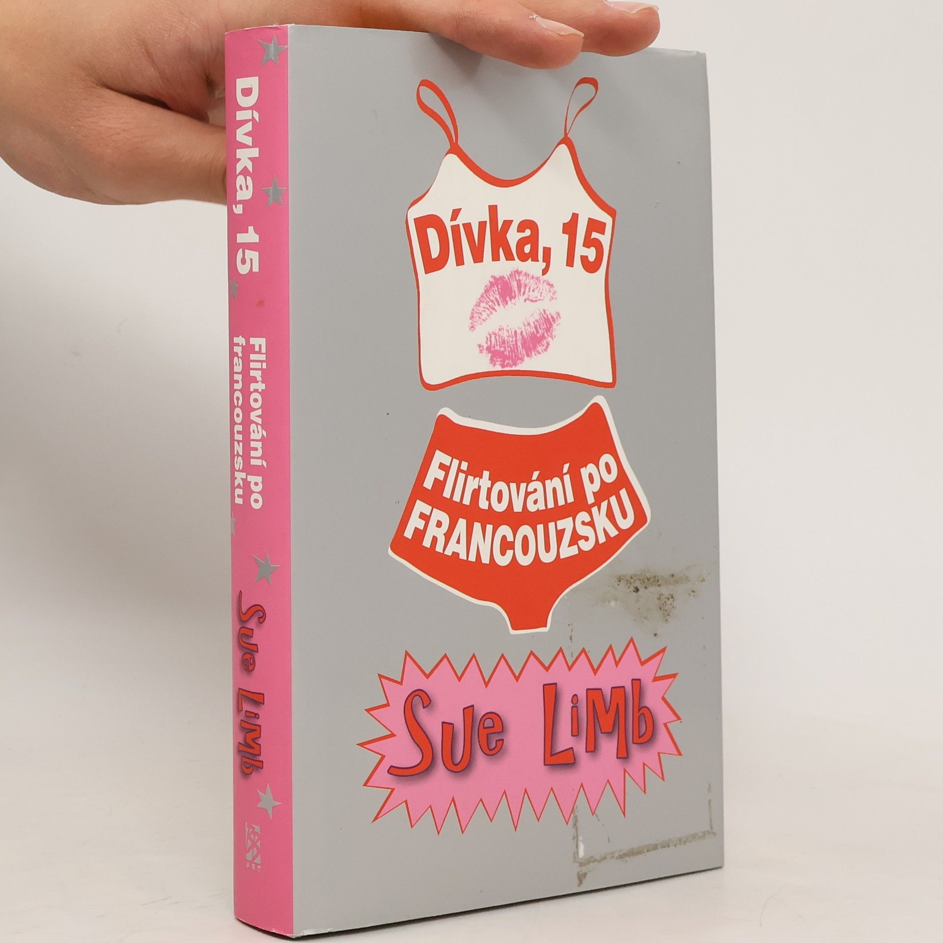 Sue Limb Dívka, 15 : flirtování po francouzsku