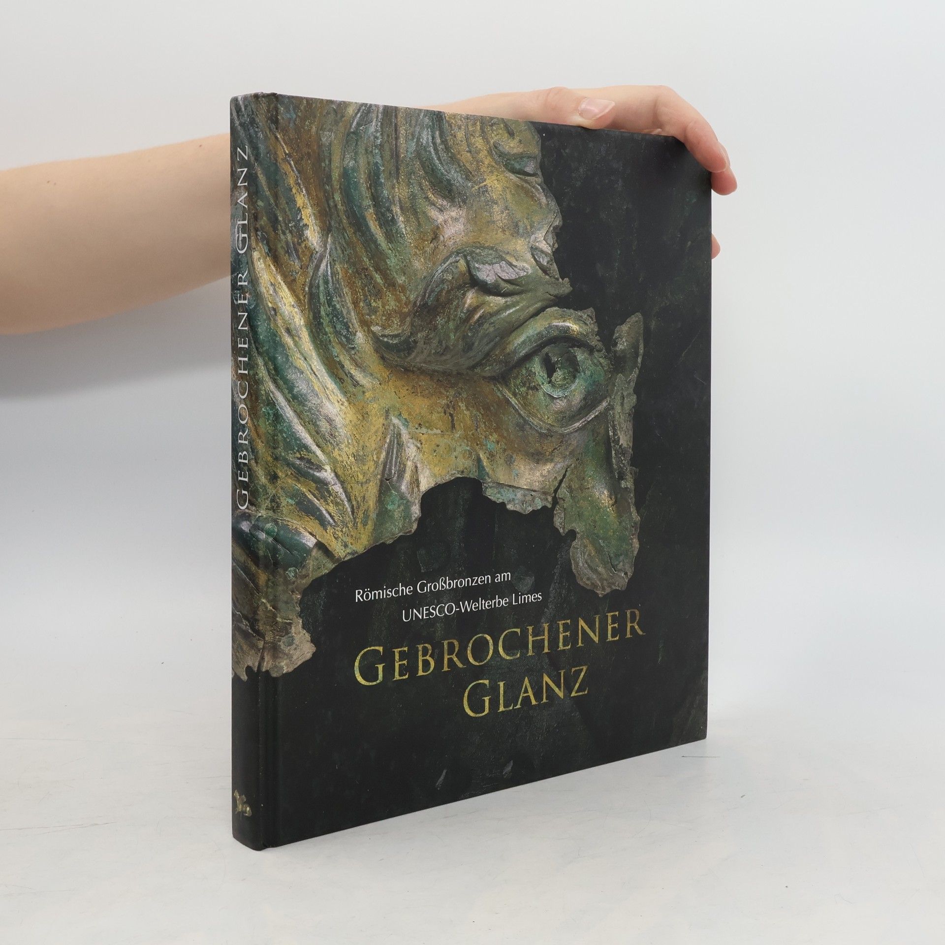 Stephanie Müller Gebrochener Glanz