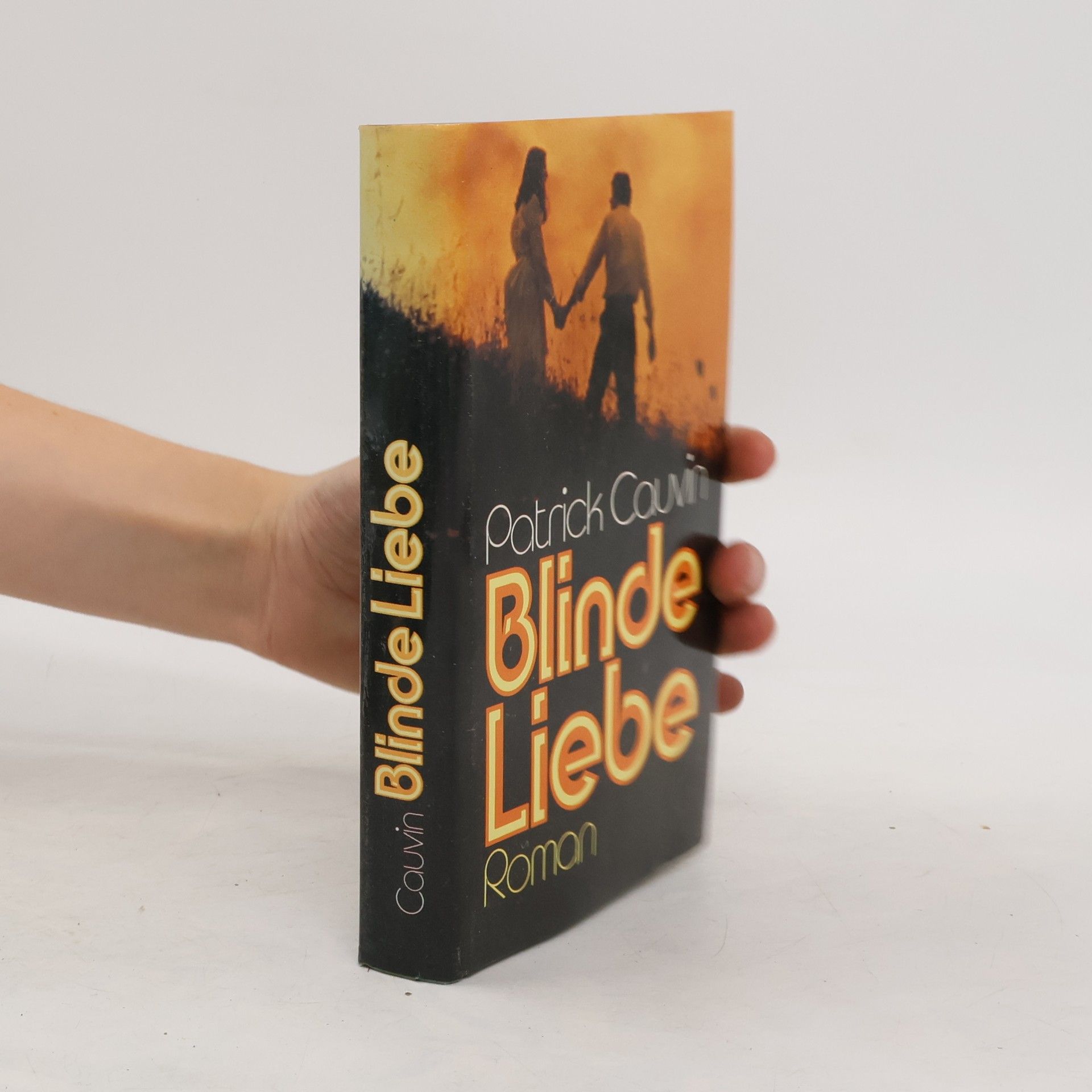 Patrick Cauvin Blinde Liebe
