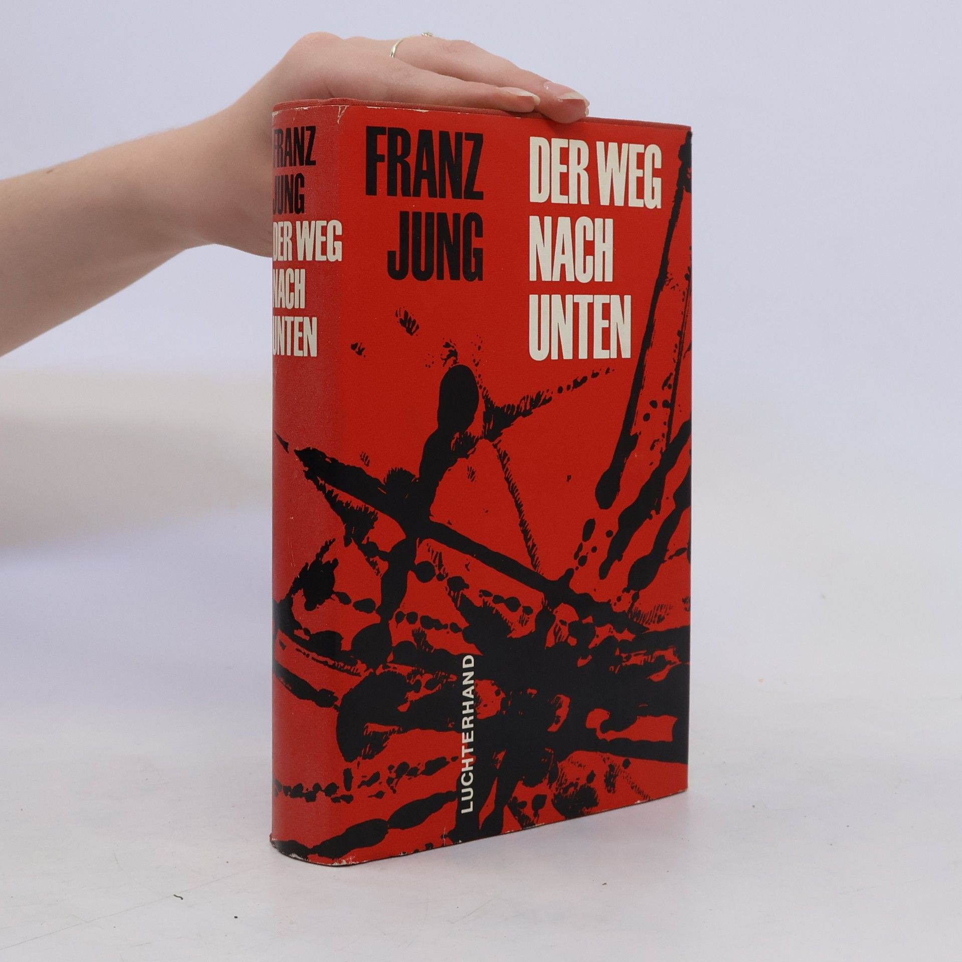 Franz Jung Der Weg nach Unten