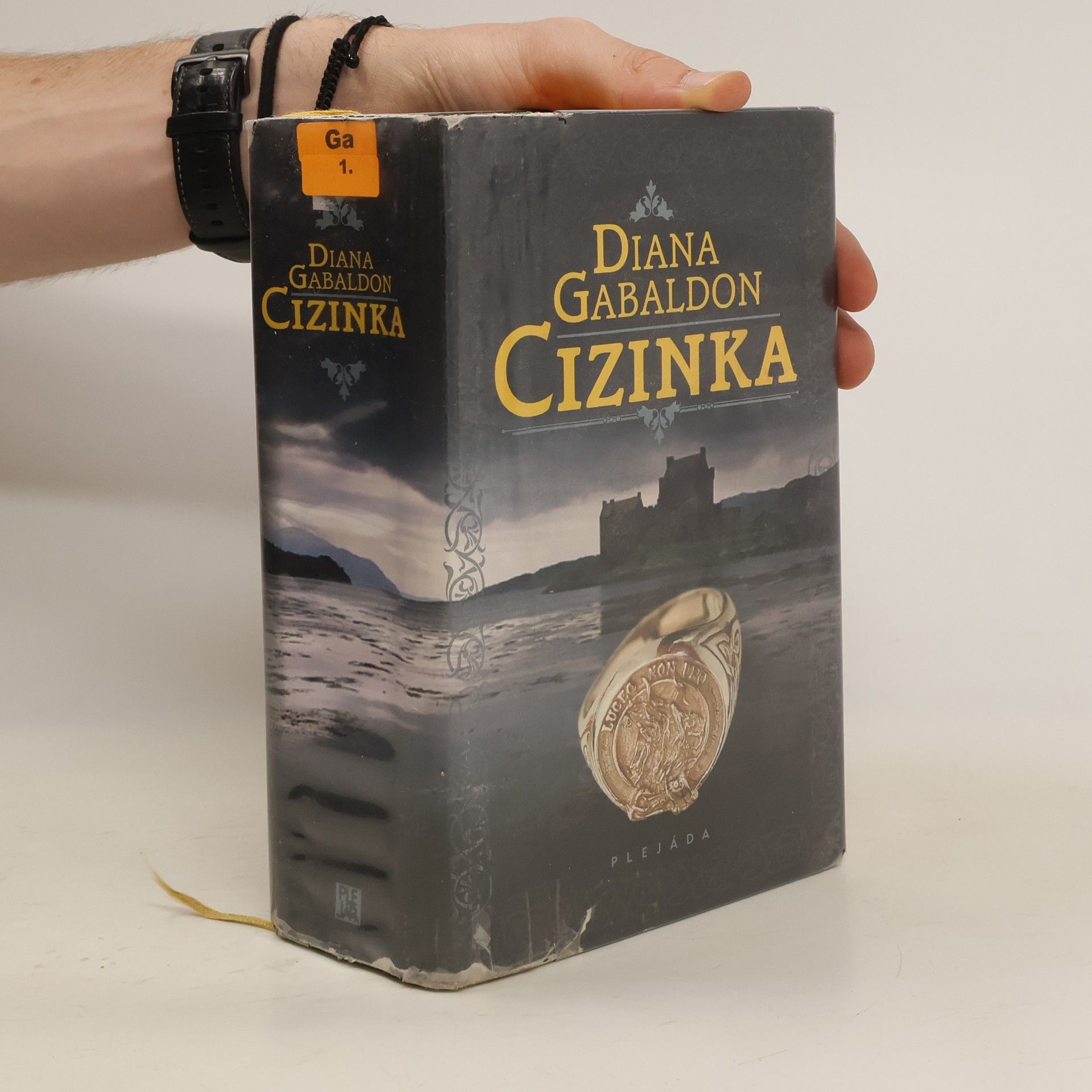 Diana Gabaldon Cizinka