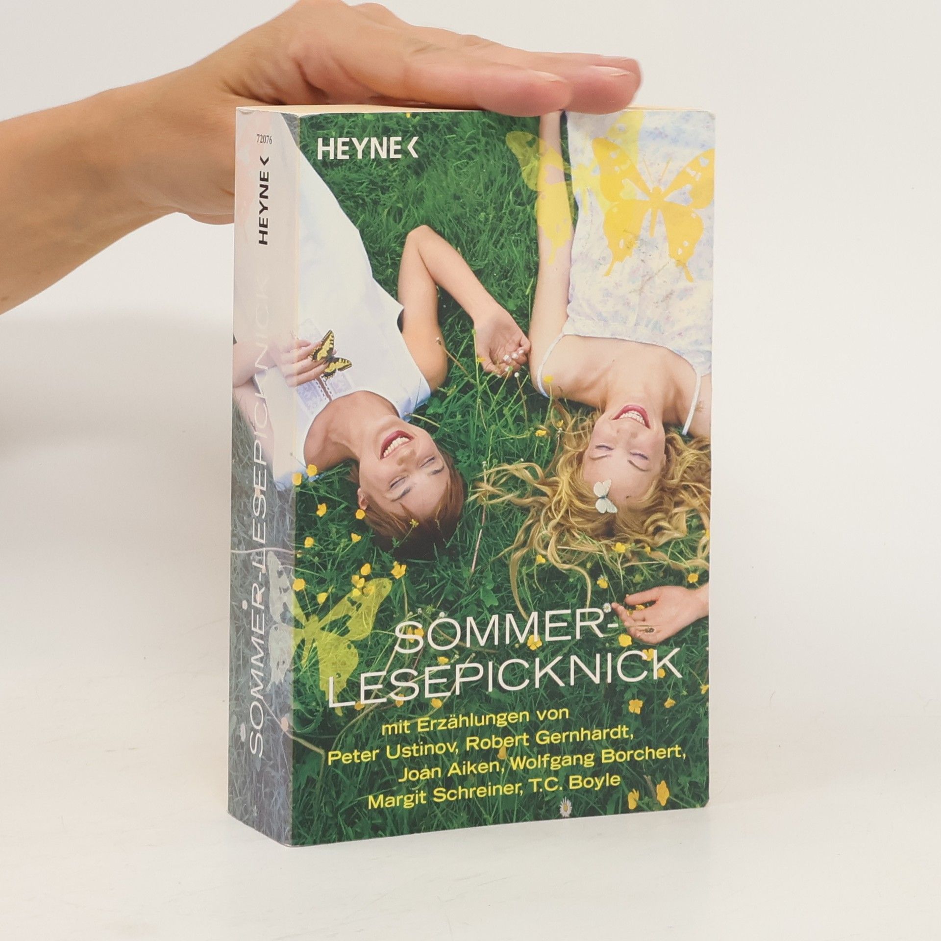 Patrick Niemeyer Sommer - Lesepicknick