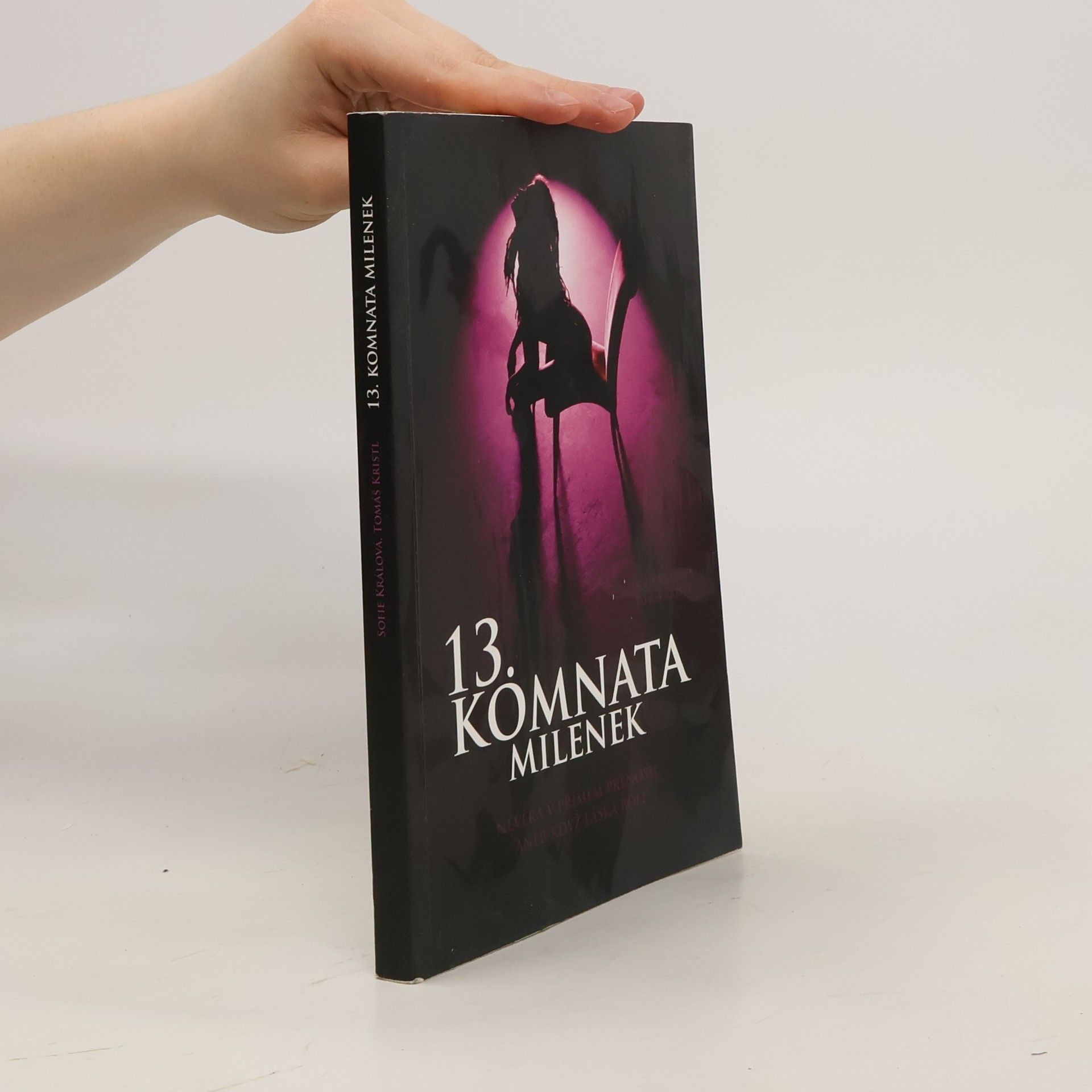 Tomáš Kristl 13. komnata milenek. Nevěra v přímém přenosu, aneb když láska bolí
