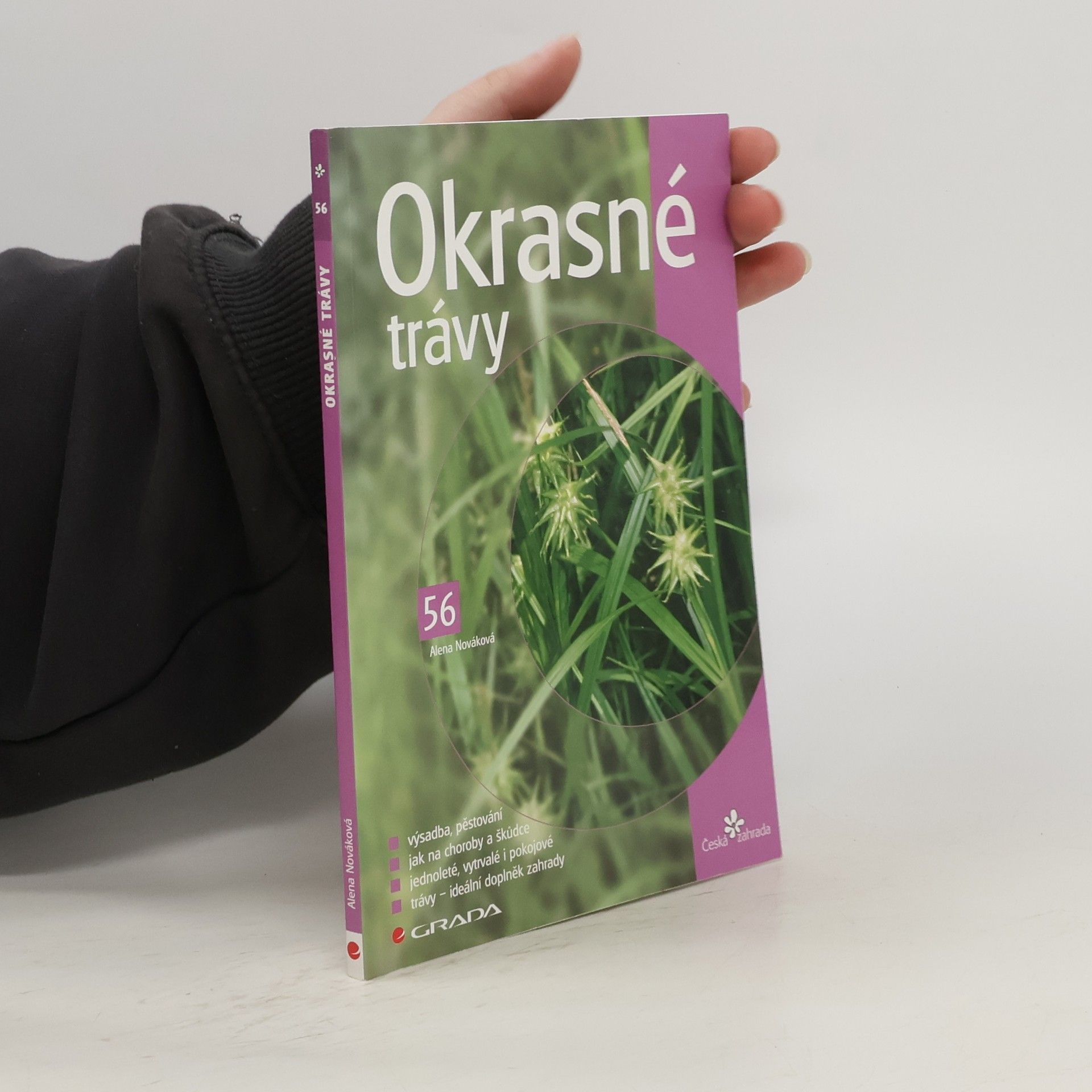 Alena Nováková Okrasné trávy