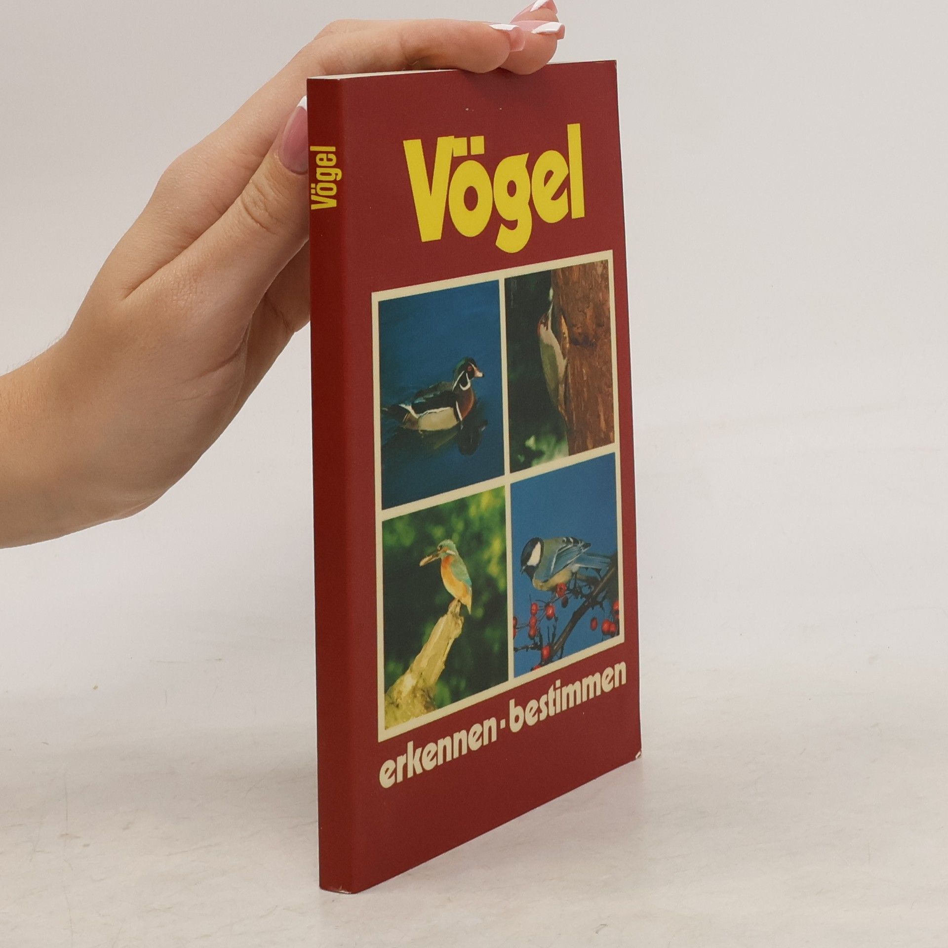 kolektiv Vögel