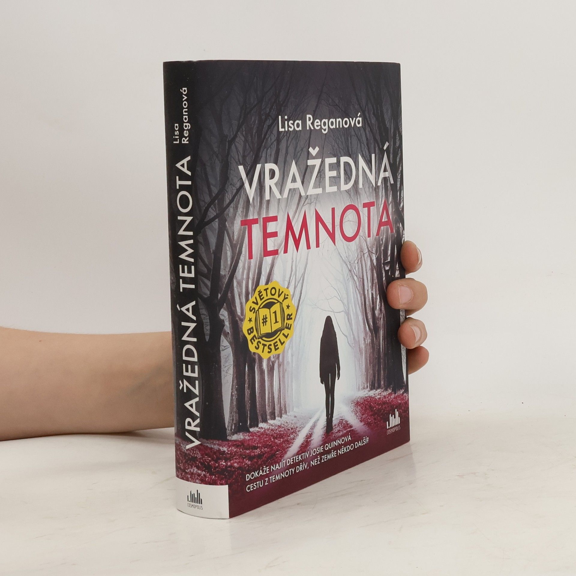 Lisa Regan Vražedná temnota