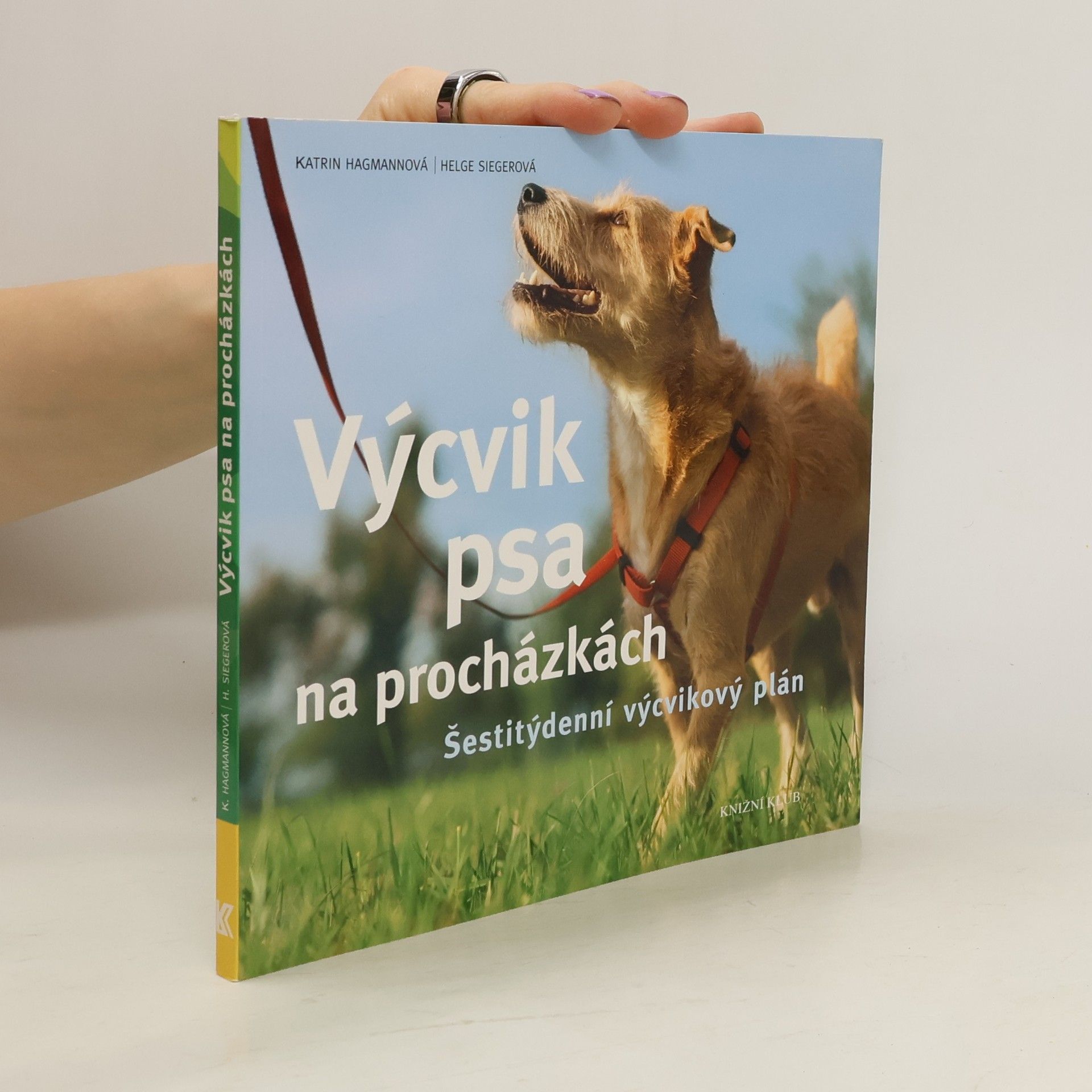 Výcvik psa na procházkách