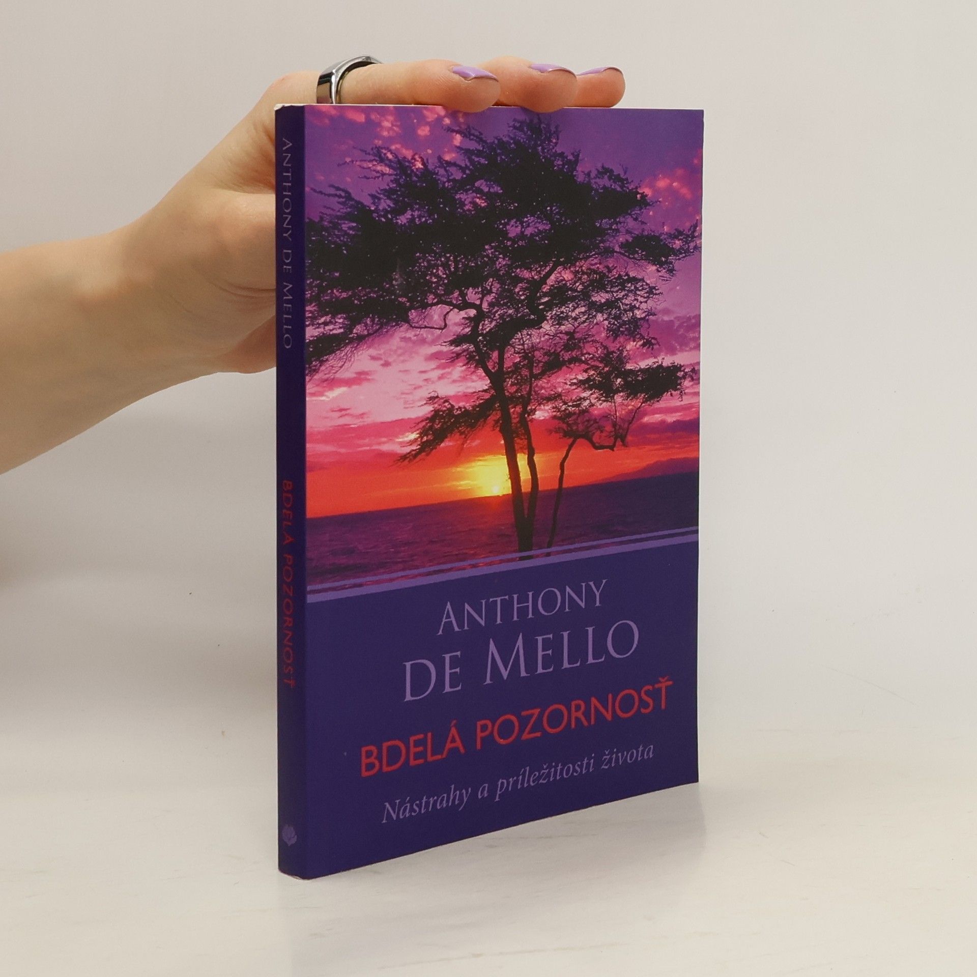 Anthony de Mello Bdelá pozornosť