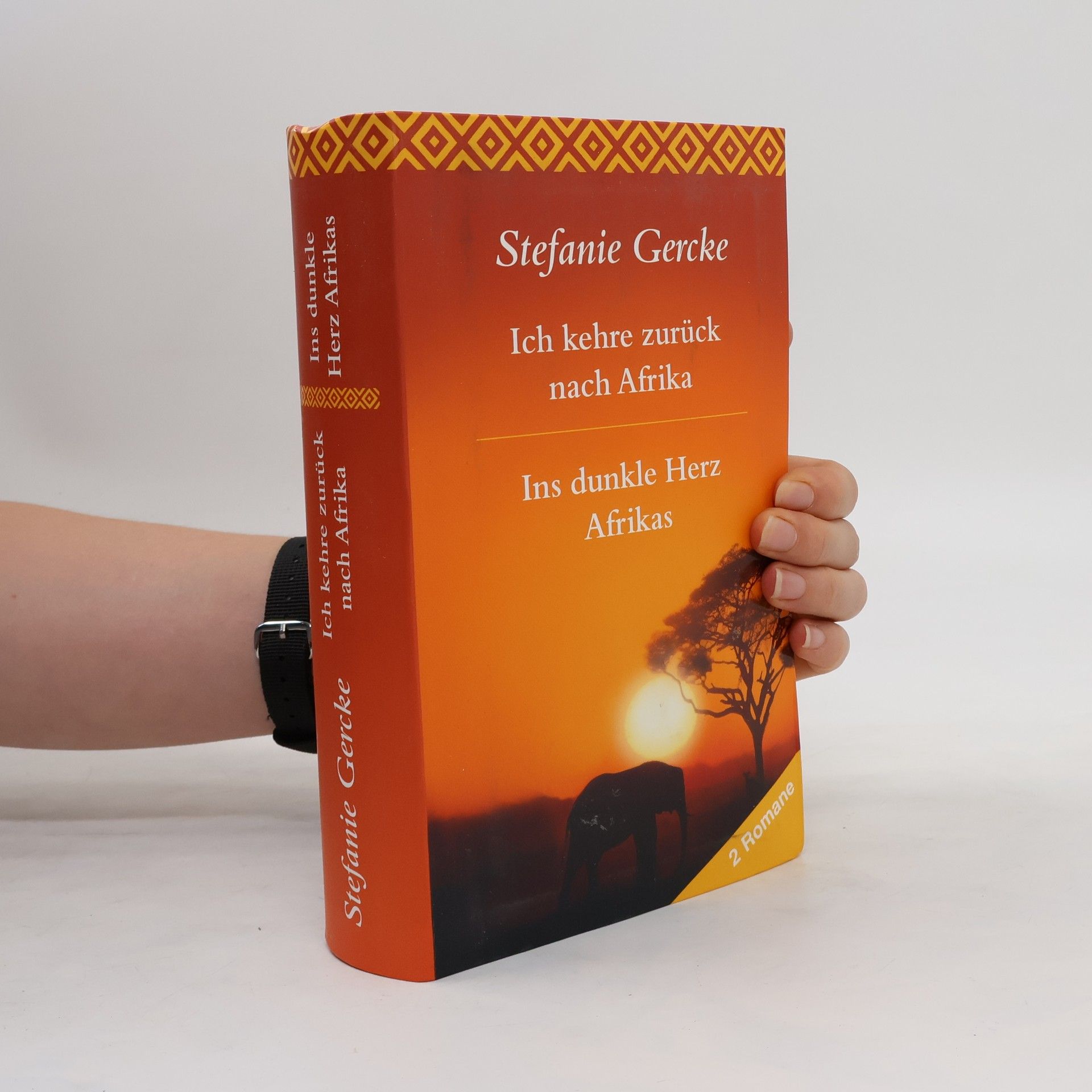 Stefanie Gercke Ich kehre zurück nach Afrika. Ins dunkle Herz Afrikas