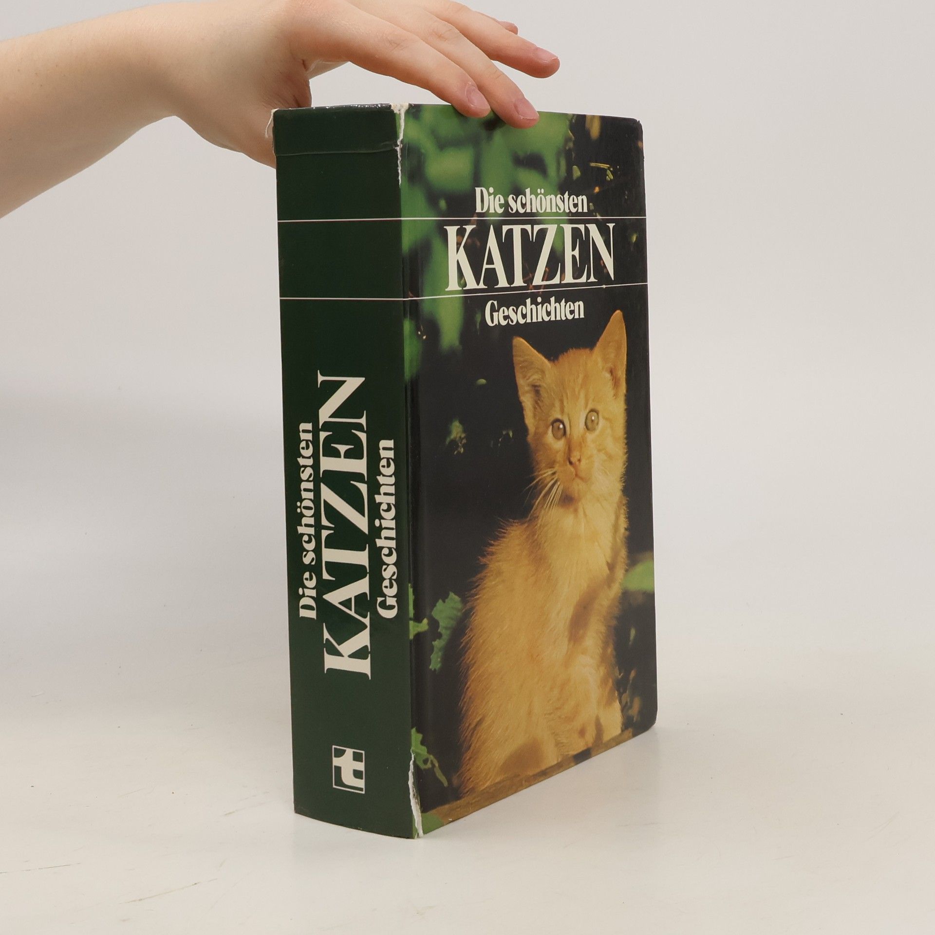 Autorenkollektiv Die schönsten Katzen Geschichten