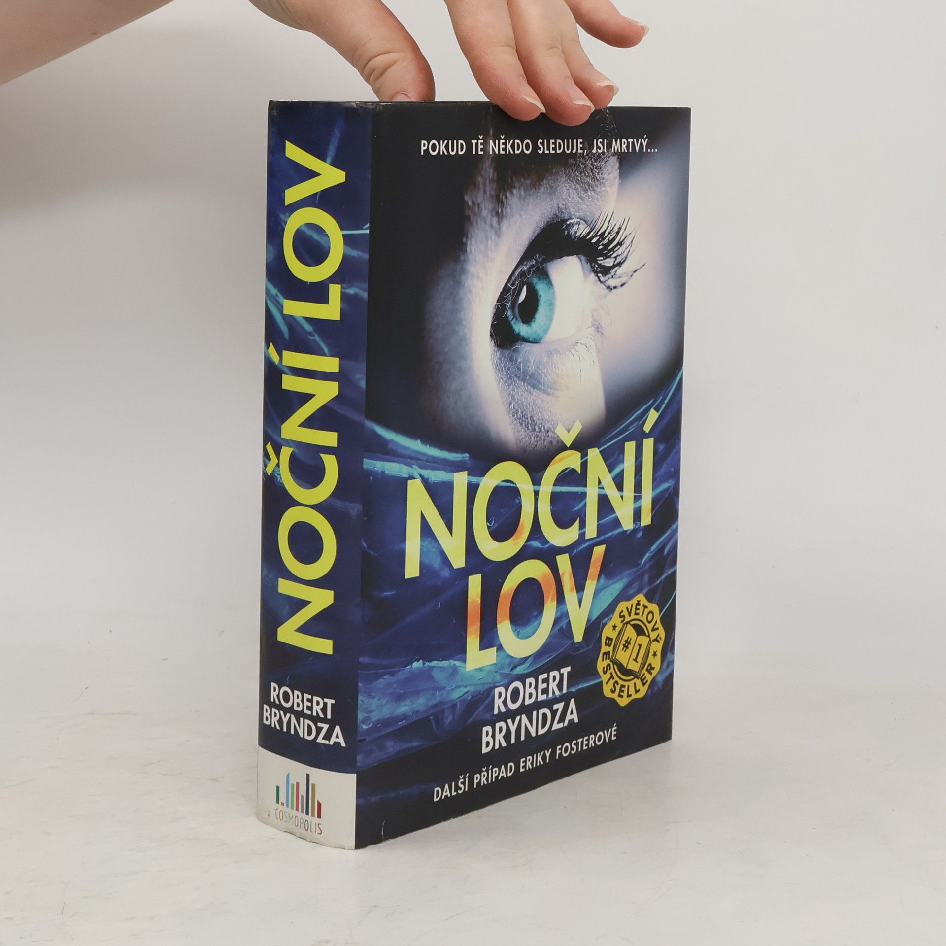 Robert Bryndza Noční lov