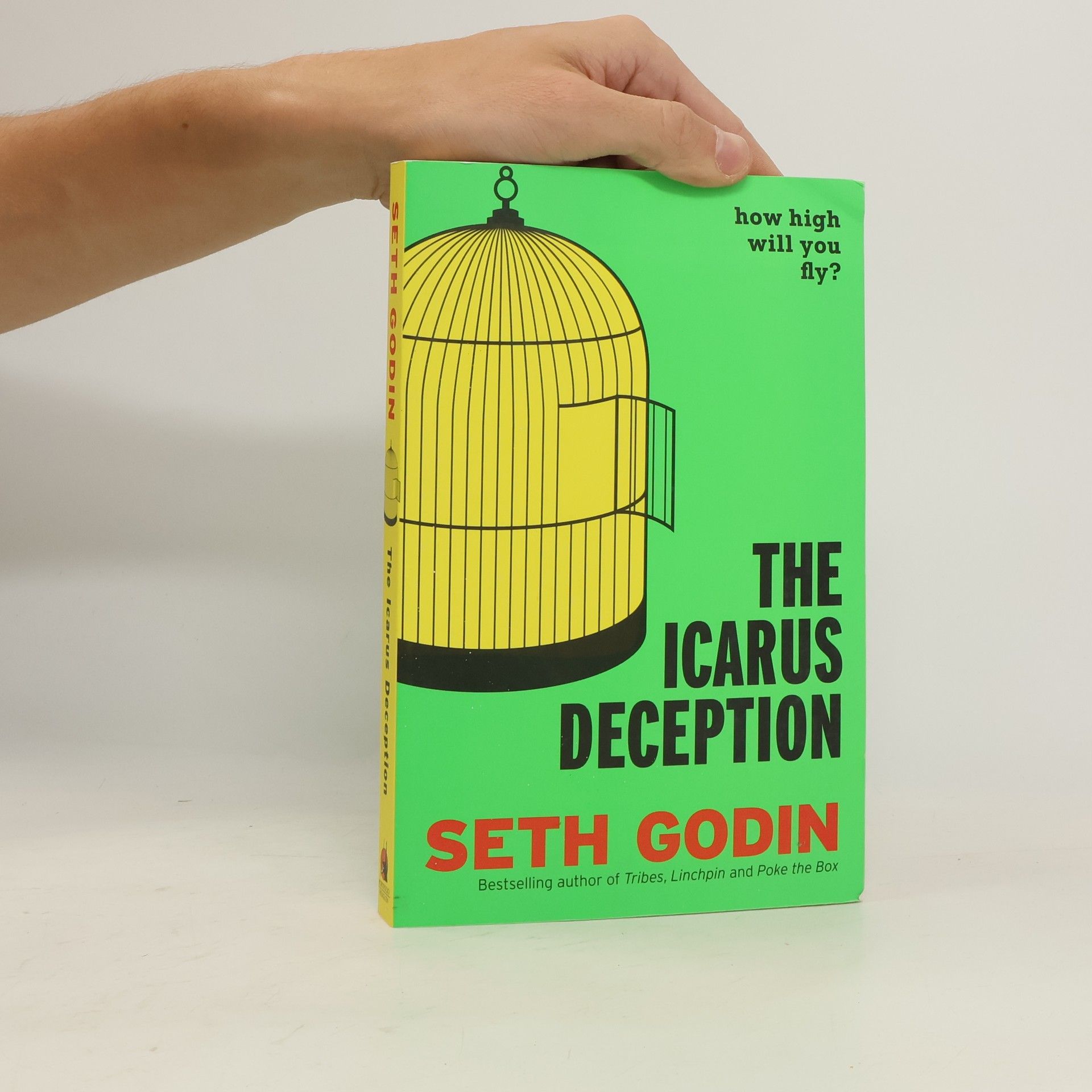 Seth Godin The Icarus Deception