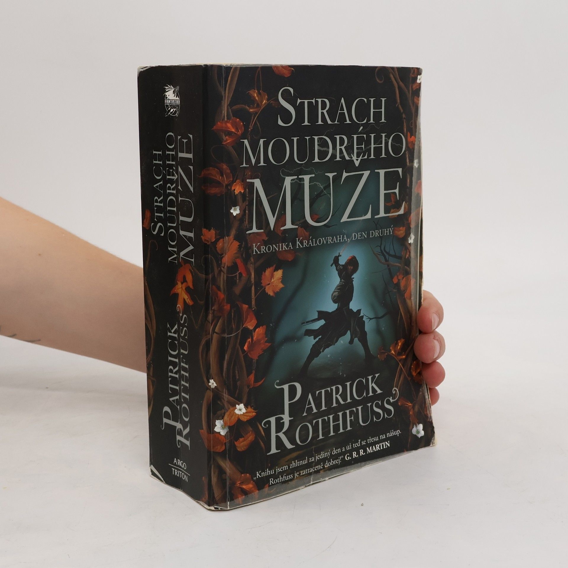 Patrick Rothfuss Strach moudrého muže : kronika Královraha, den druhý