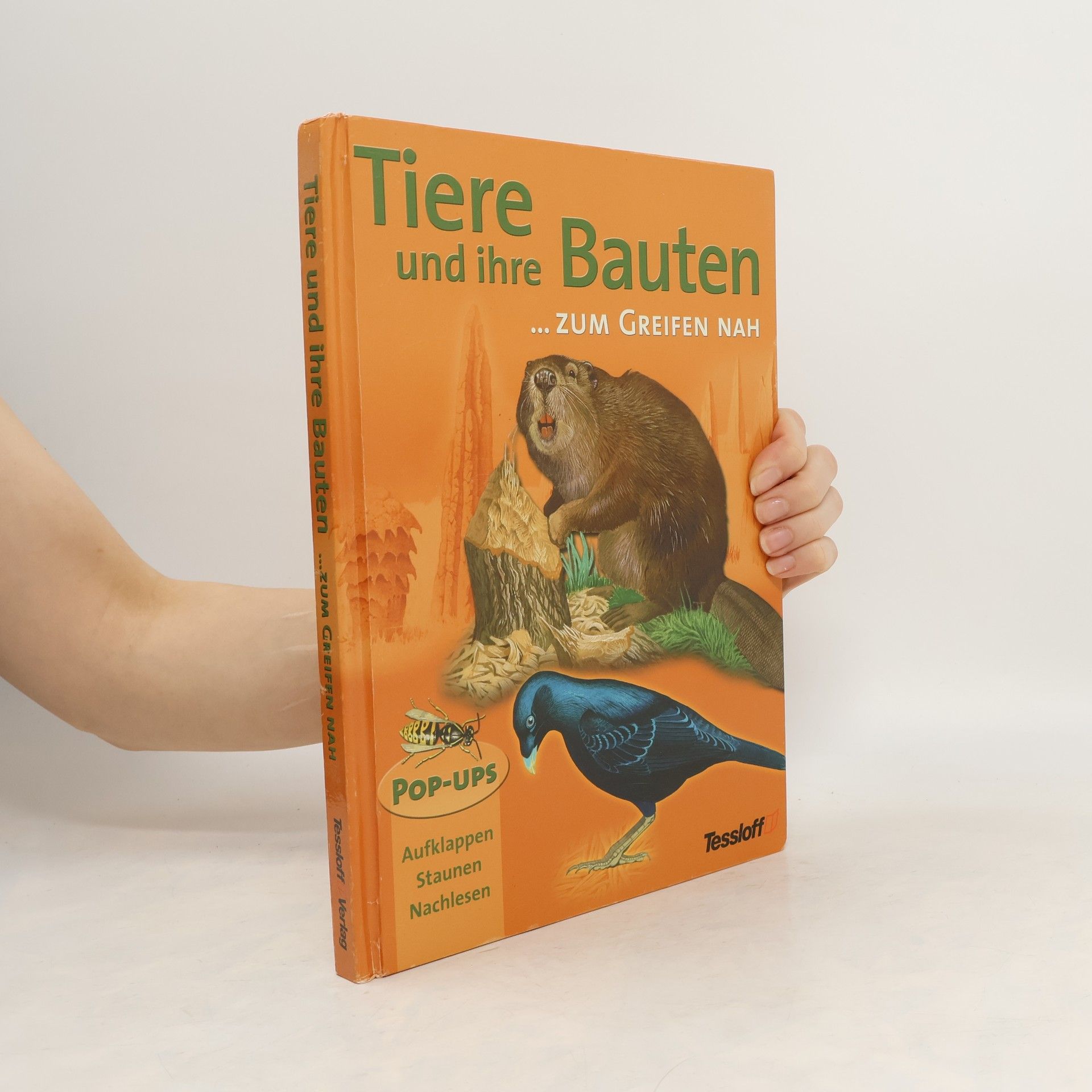 John Woodward Tiere und ihre Bauten
