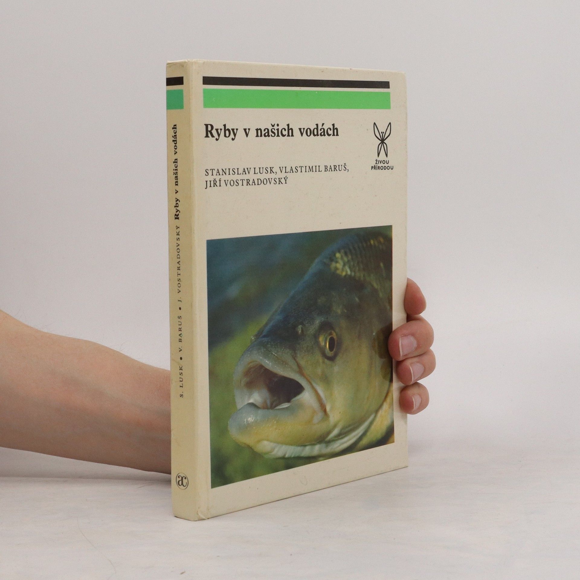 Autores varios Ryby v našich vodách