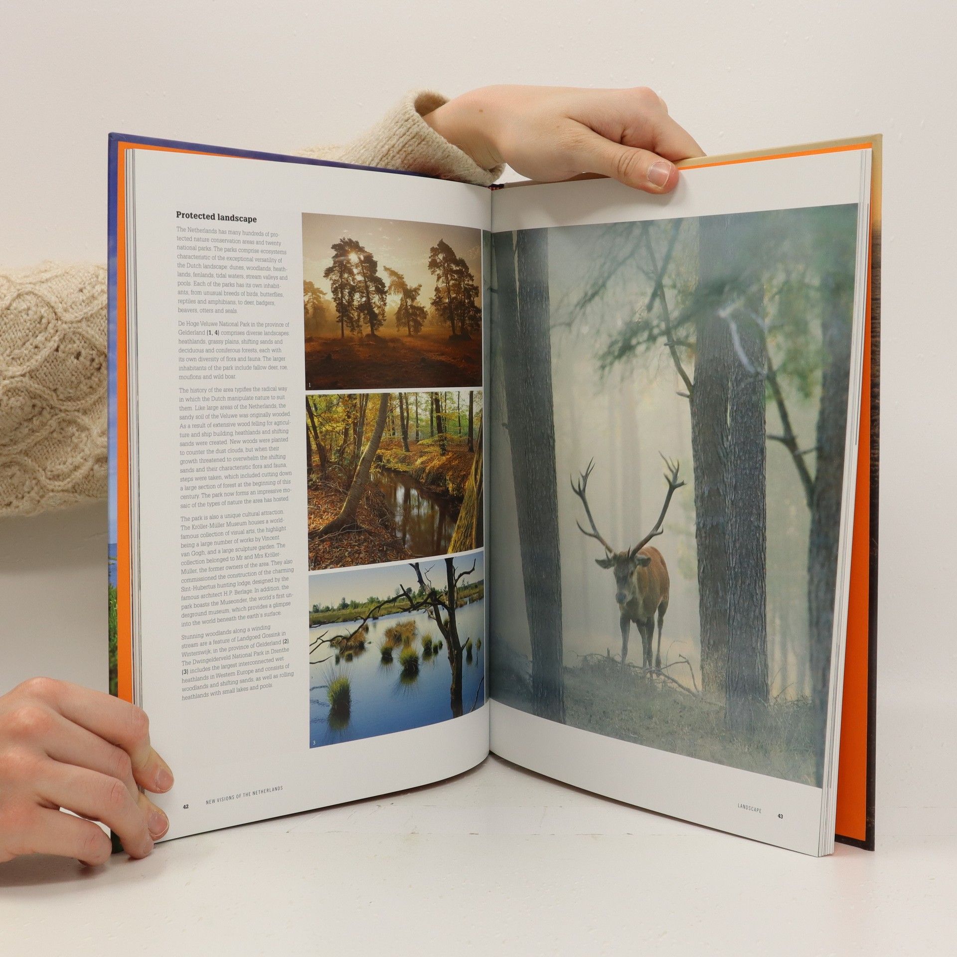Autorenkollektiv New visions of the Netherlands