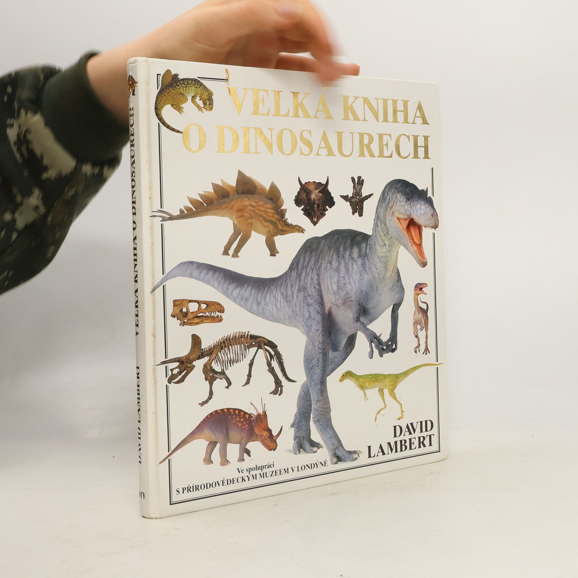 David Lambert Velká kniha o dinosaurech