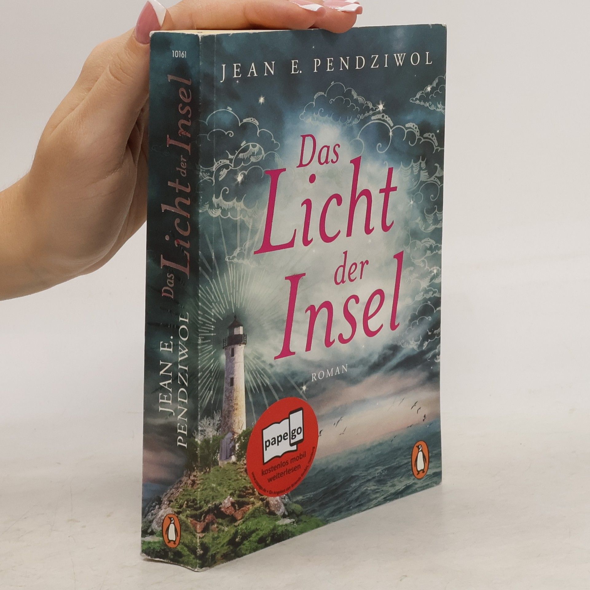 Jean Pendziwol Das Licht der Insel