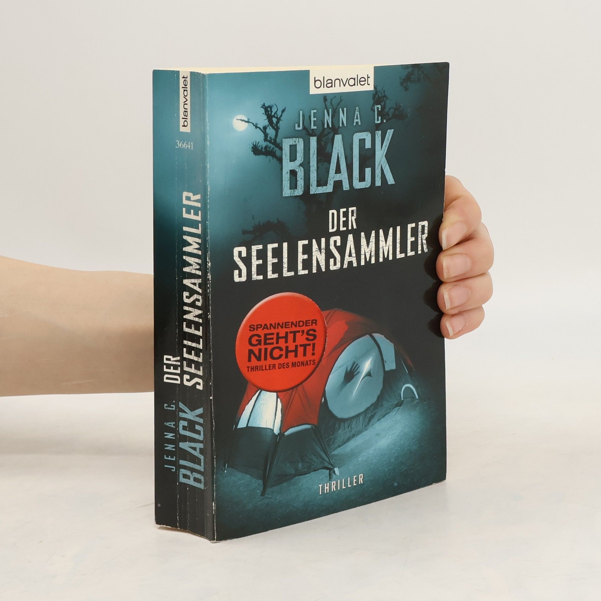 Jenna C. Black Der Seelensammler