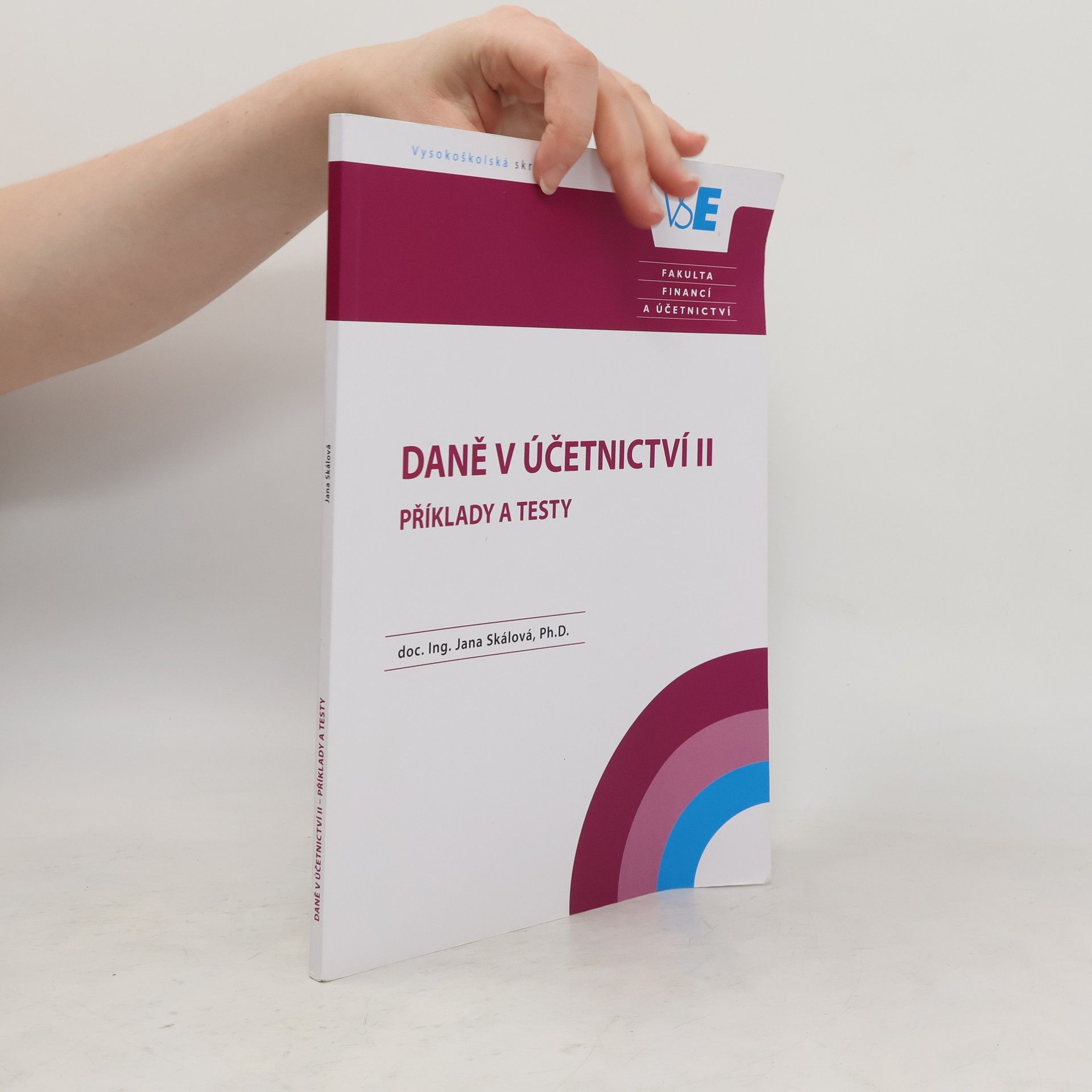 Autorenkollektiv Daně v účetnictví II
