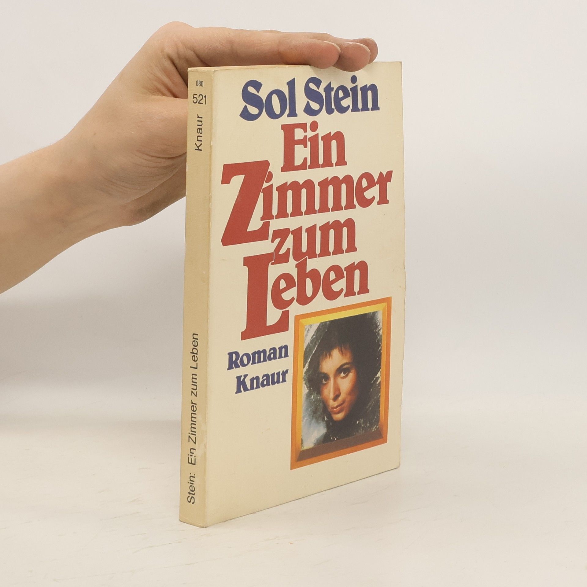 Sol Stein Ein Zimmer zum Leben
